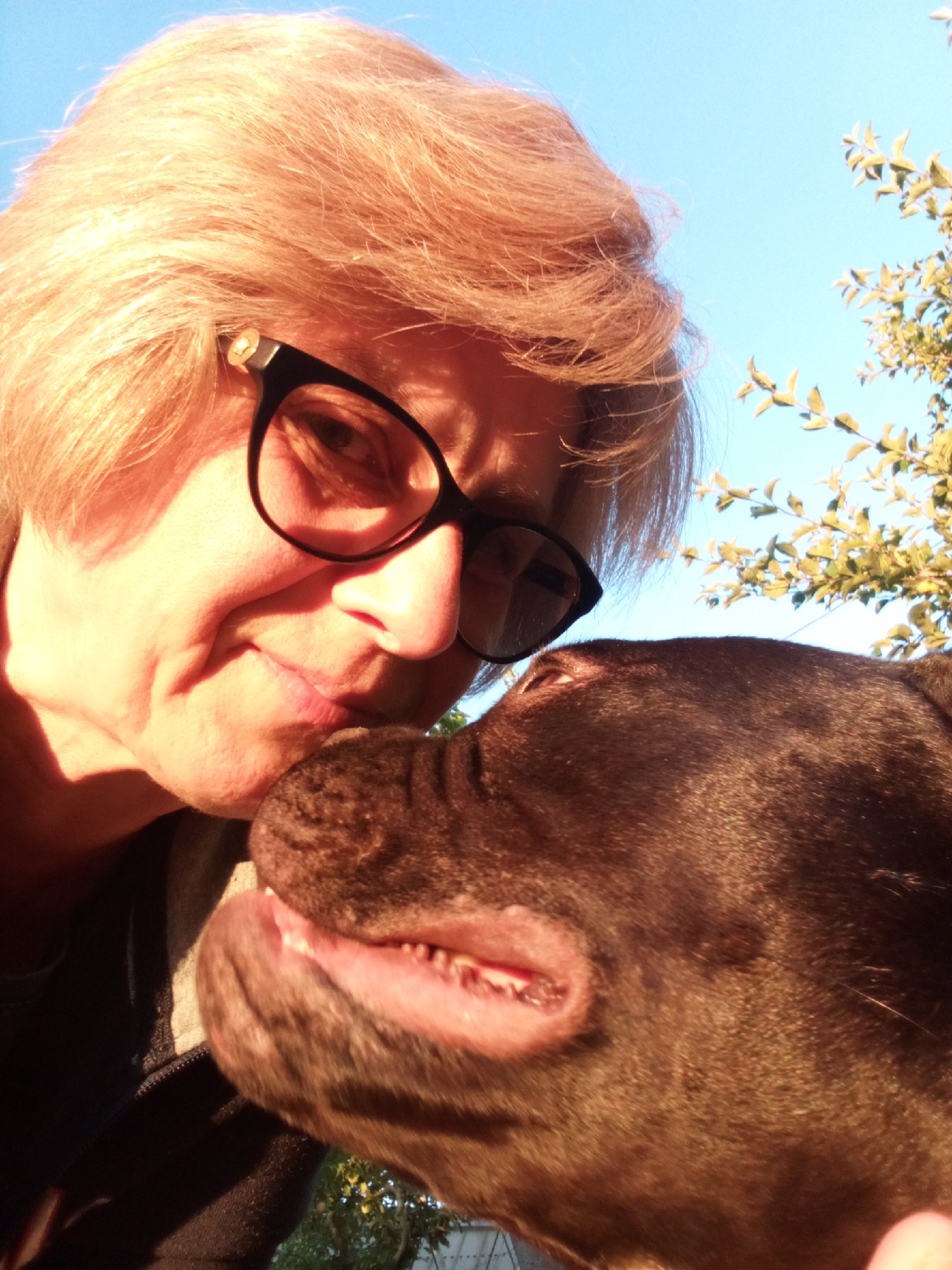 A close-up, outdoor, selfie-style photograph captures a Caucasian woman and a dark-colored dog against a clear blue sky and foliage. The woman, positioned on the left, is wearing glasses and has blonde hair. She is leaning in towards the dog. The dog, on the right, is looking towards the woman with its mouth slightly open, revealing its teeth and pink tongue. The lighting suggests it is daytime, possibly late afternoon due to the warm glow on the woman's face. The location is not specified within the image itself.