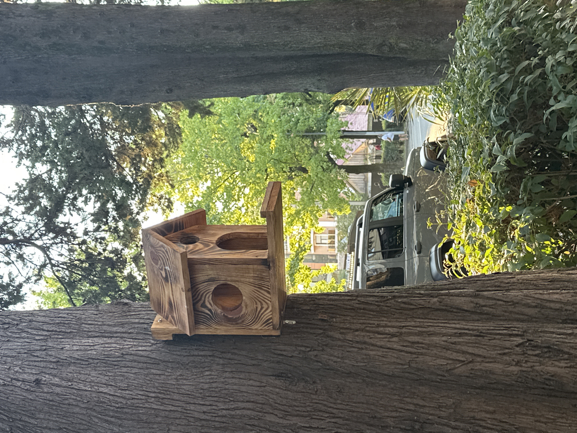 A handmade wooden birdhouse is mounted on a tree trunk. The birdhouse has a pitched roof and two circular openings. In the background, a grey SUV is parked, and behind that, there are buildings and trees. Several people are visible walking in the distance. The scene appears to be in an urban park or residential area, possibly in the city of Sochi, Russia, given the lush greenery and trees. The lighting suggests it is either morning or late afternoon, with sunlight filtering through the leaves.