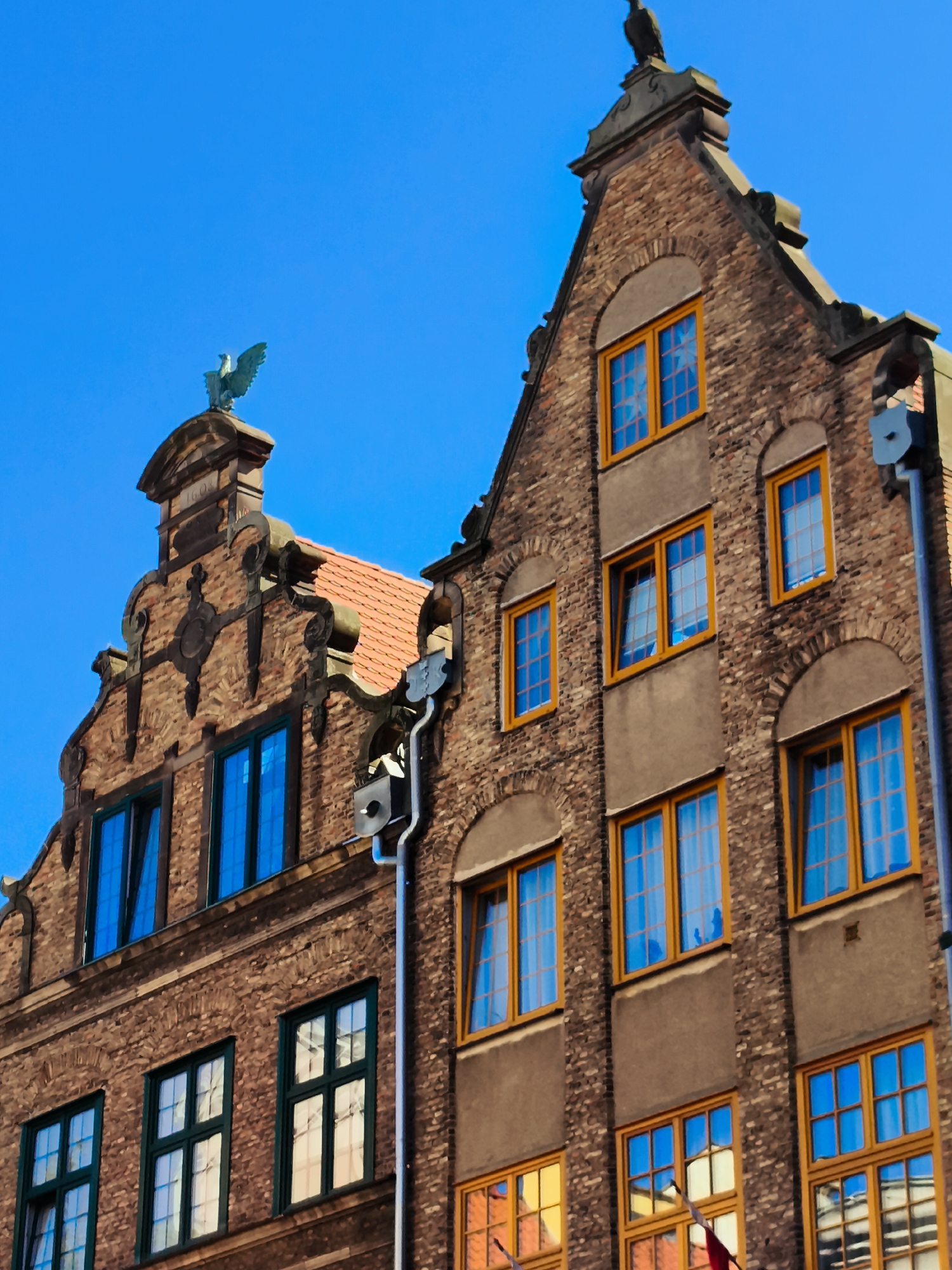 This image shows the facades of historic brick buildings against a clear blue sky. The buildings feature ornate gables with decorative elements, including sculpted eagles on their peaks. The windows are framed in various colors, including blue and orange, and some reflect the sky or surrounding architecture. A downspout is visible on the right side of the image. The architectural style is indicative of the historic center of Gdańsk, Poland, specifically along the Motława River waterfront, known for its characteristic tenement houses.