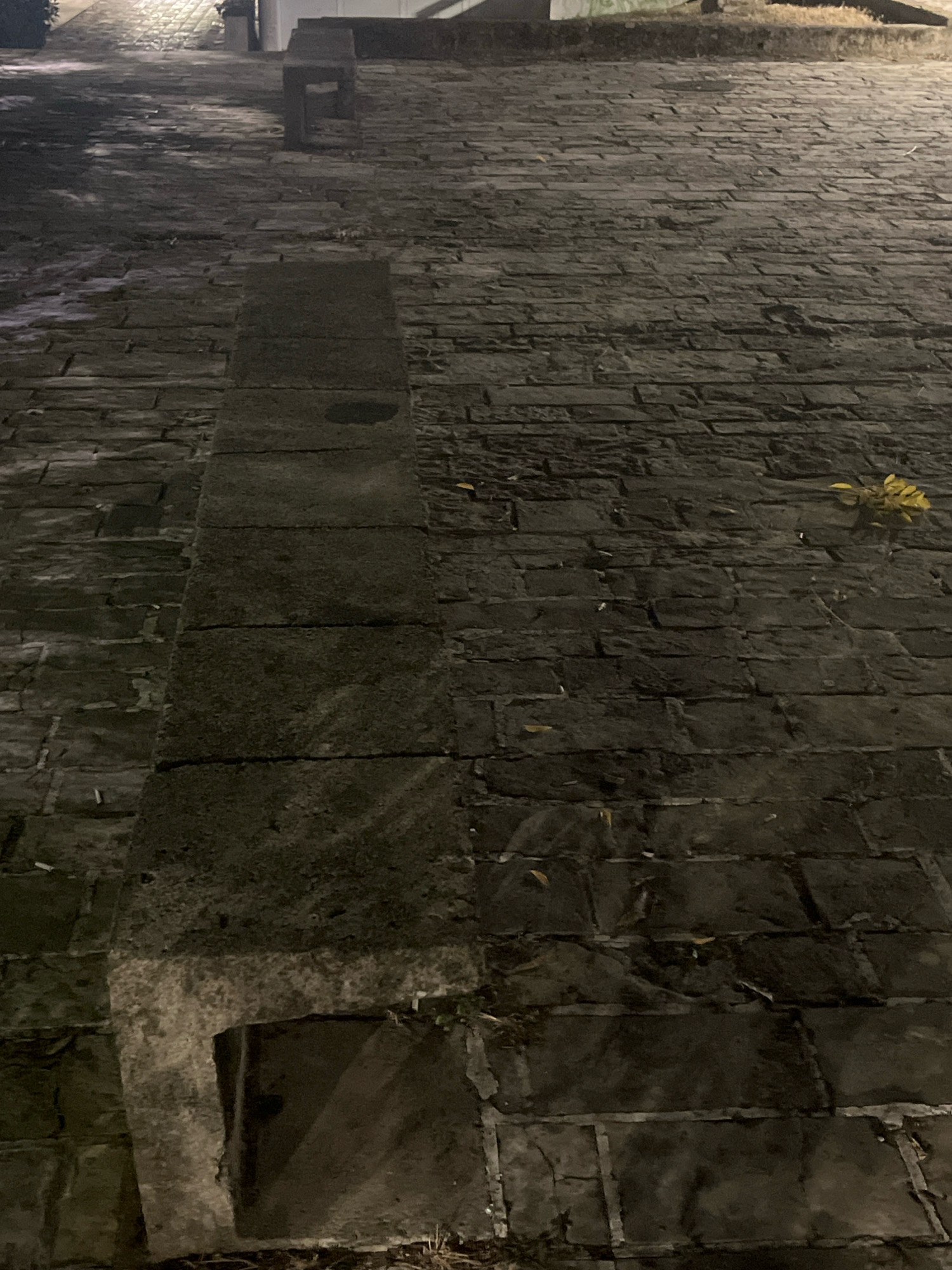 A stone-paved street in Budva, Montenegro, is captured from a low angle at night. The paving stones, varying in size and shape, create a textured surface. A raised, rectangular stone structure runs vertically down the center of the image. To the left of this structure, the paving stones appear wet and reflect light, suggesting recent rain. To the right, dry paving stones are visible, with scattered yellow leaves and a small cluster of yellow leaves clinging to the stone wall. A simple, dark-colored bench is positioned on the upper left side of the image, further up the street. The lighting is dim, casting shadows and highlighting the texture of the stones. The scene appears to be an outdoor public space, possibly a pathway or square, with an emphasis on the materiality of the stone elements.