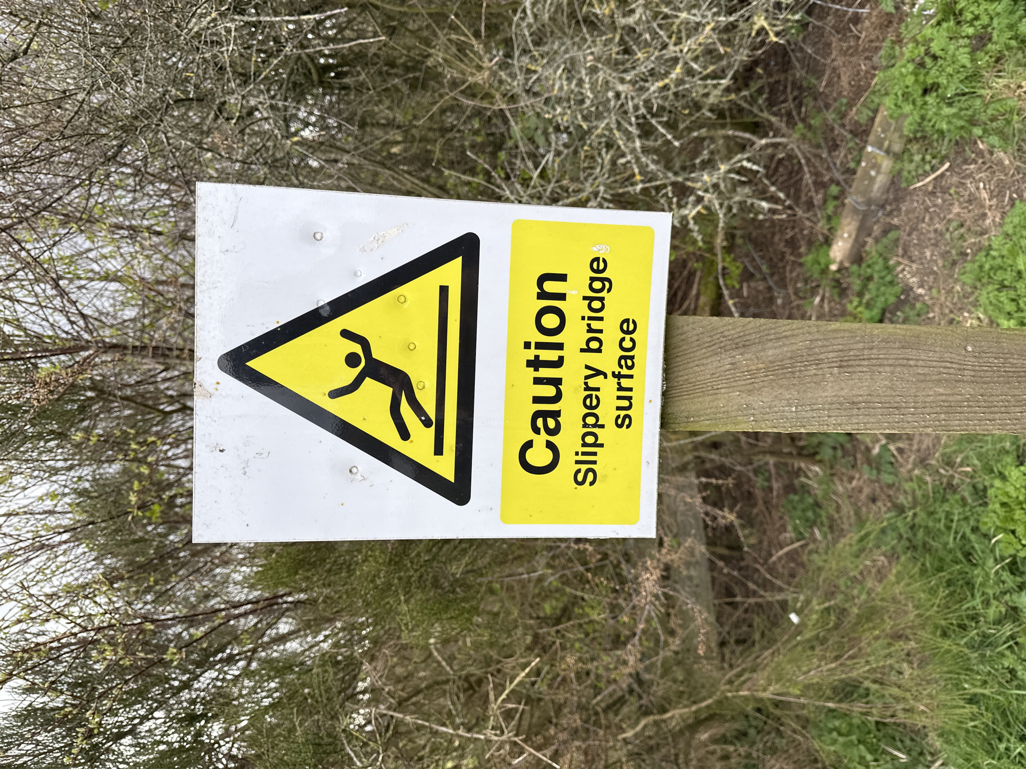 A rectangular sign, mounted on a wooden post, reads "Caution Slippery bridge surface". The sign features a yellow triangle with a black silhouette depicting a falling figure. The backdrop consists of dense foliage, suggestive of a natural setting. The location is presumed to be in Dunfermline, United Kingdom.