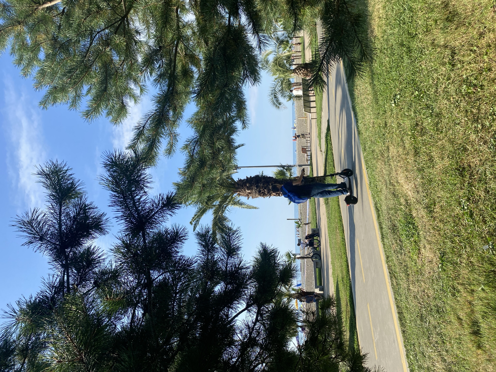 The image depicts a sunny day at a seaside promenade in Batumi, Georgia. In the foreground, framing the scene from the left and right, are lush green pine branches, with a palm tree visible in the mid-ground. A person is riding an electric scooter along a paved pathway marked with yellow lines. Further back, near a pebble beach and the sea, several people are present, some sitting on benches and others walking. Palm trees are scattered along the promenade, and the sky is a clear blue with a few wispy clouds.