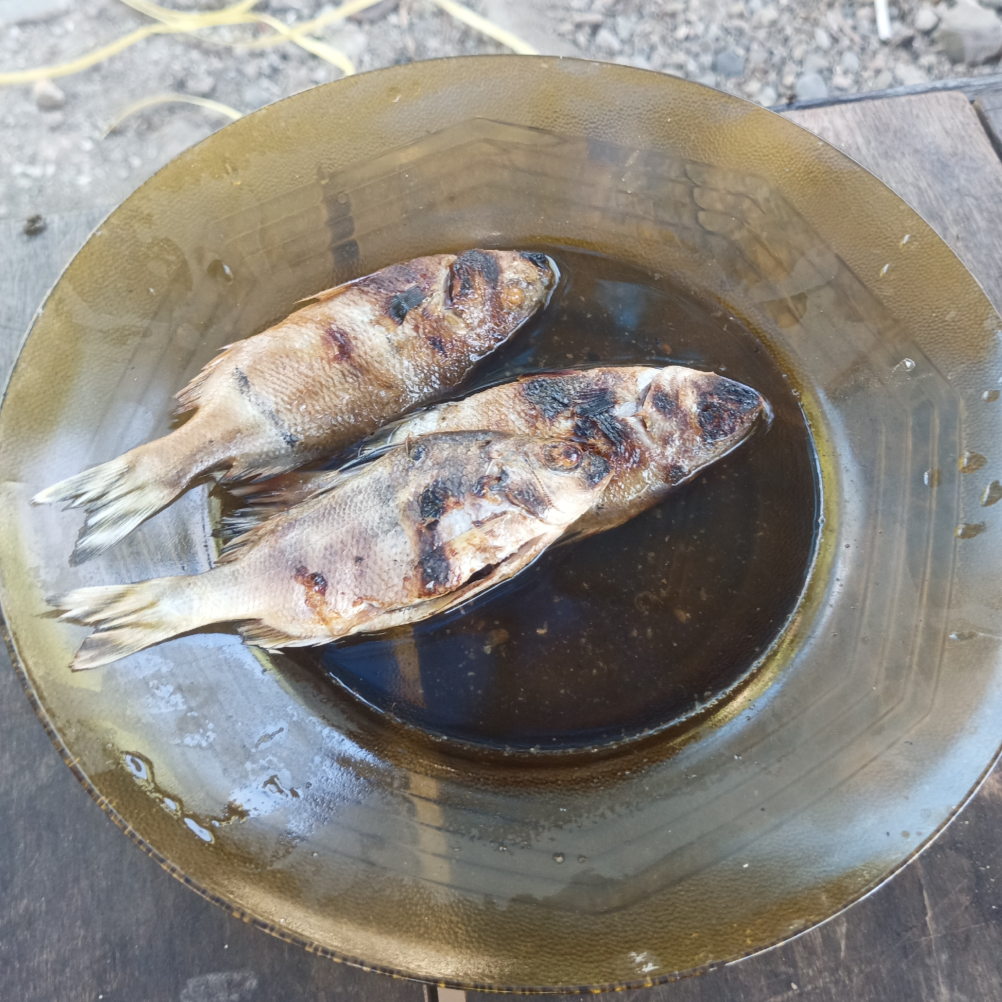 Two grilled fish lie in a shallow, dark liquid on a round, transparent, brownish plate. The plate is positioned on a weathered wooden surface. The background shows blurred gravel and yellow string. The fish are whole, with visible scales and fins, and have charred grill marks on their skin. Their heads are to the right, with one fish slightly overlapping the other. The scene appears to be outdoors, possibly in Tumampua, Indonesia, given the style of presentation and the surrounding environment.