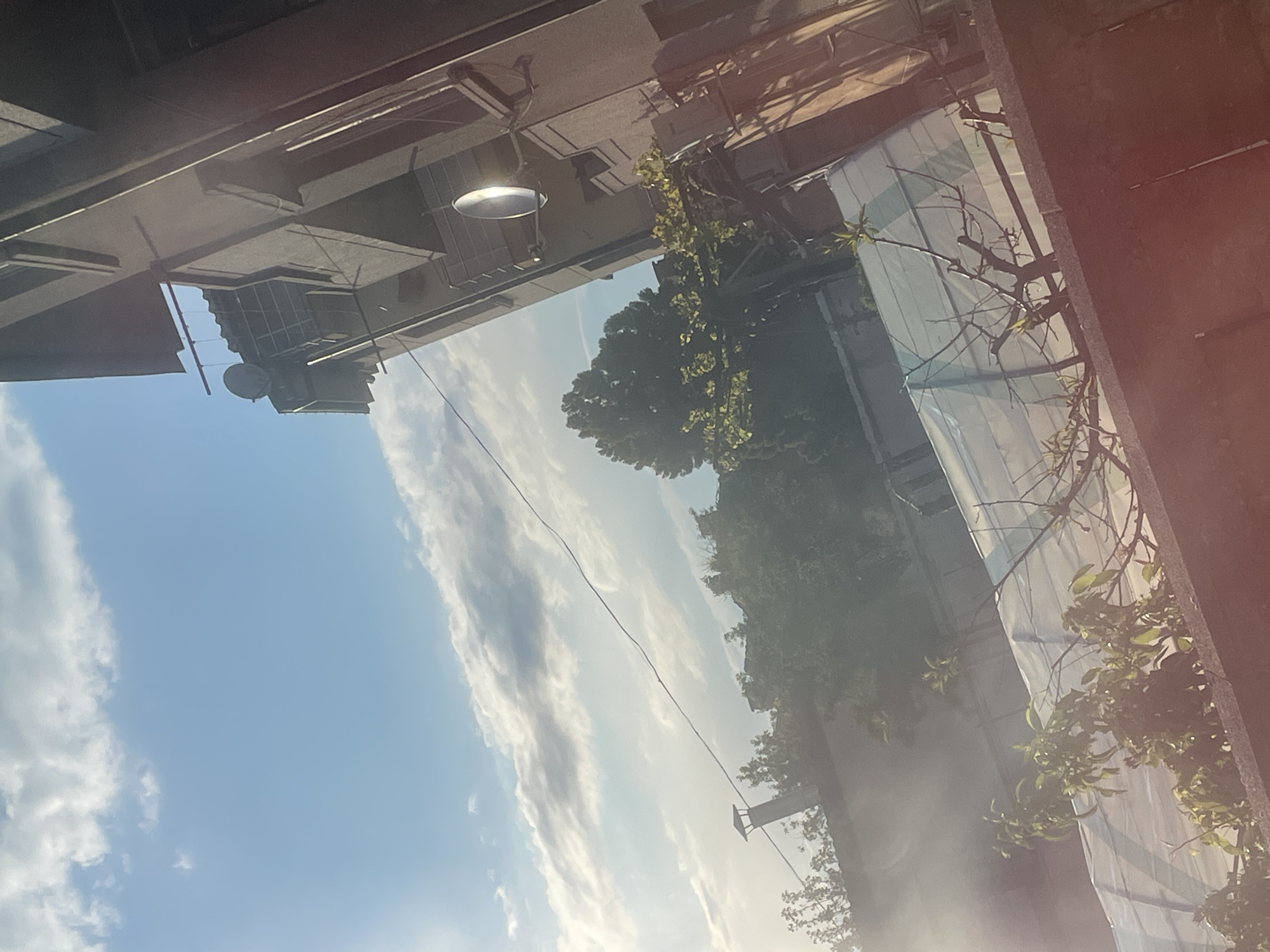 The image depicts a view upwards towards the sky and buildings in Harmanli, Bulgaria. The sky is blue with streaks of white clouds. The tops of buildings are visible on either side, with the building on the left appearing to have a satellite dish. In the center, a dense tree canopy partially obscures the building behind it. A street light is attached to the left-side building. Bare tree branches are visible on the right. A wire stretches diagonally across the sky.