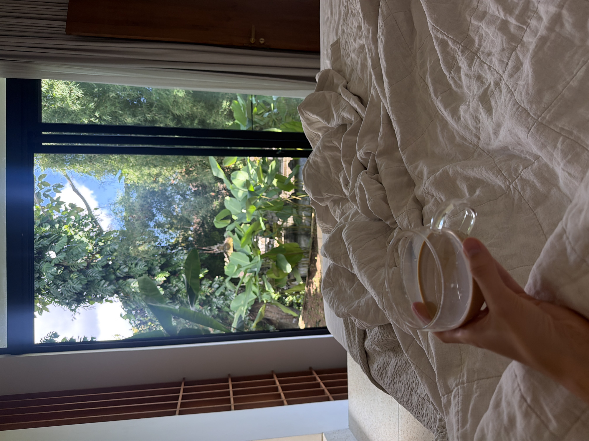 Here's a detailed description of the image:
**Scene Overview:** The image captures an indoor scene, possibly a bedroom, with a view to the outside. A hand holds a glass cup with a light-colored liquid (likely coffee or tea) in the foreground. A rumpled, light-colored bedspread is also visible.
**Environment:** A large window frames a view of lush greenery. The vegetation outside appears dense and tropical, possibly a garden or forest. The presence of these plants suggests a tropical environment. The wooden blinds are visible under the window.
**Objects:**
* **Glass Cup:** Contains a light-brown liquid (coffee or tea). The cup has a handle.
* **Bedspread:** Light-colored and rumpled, resting on a bed. The bedspread appears to have a quilted pattern.
* **Window:** Large, with a black frame, offering a view to the outside.
* **Vegetation:** Dense greenery is visible outside the window.
**Action:** A hand is holding a glass cup of coffee over the bed.
**People:** One hand is visible.
**Location:** Mas, Indonesia is likely based on the tropical greenery and overall vibe of the image.