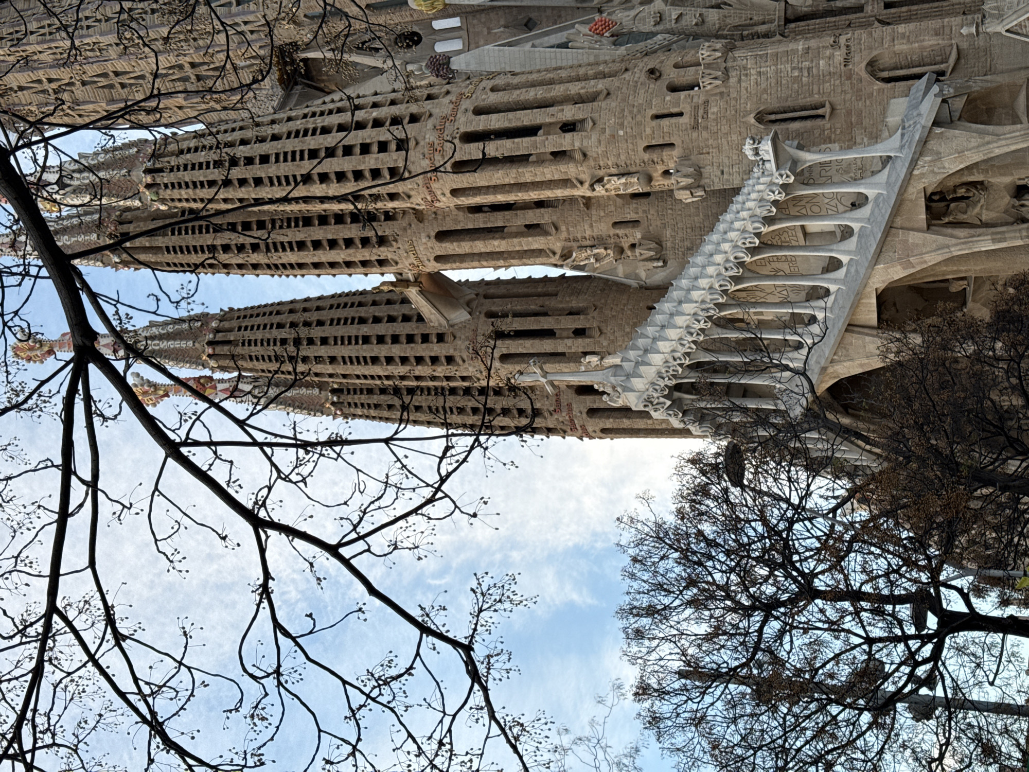 The image displays a detailed view of the Sagrada Familia basilica in Barcelona, Spain, from a low-angle perspective. Multiple stone towers of the basilica, characterized by intricate carvings and repetitive window-like openings, dominate the right and central portions of the frame. A bridge connects two of these towers at an elevated position. Below, a prominent architectural feature resembling a staircase or balustrade with a series of arched supports and decorative elements, including a cross at its peak, is visible. The stone façade exhibits varying textures and appears in hues of light brown and beige under natural lighting. Some upper spires feature colorful mosaic-like decorations. The foreground and upper section of the image are occupied by the dark, leafless branches of several deciduous trees, silhouetted against a light blue sky with scattered white clouds. Small, spherical buds or berries are visible on many branches. A streetlight pole is partially discernible through the branches on the lower left. No human figures or discernible actions are present in the scene.