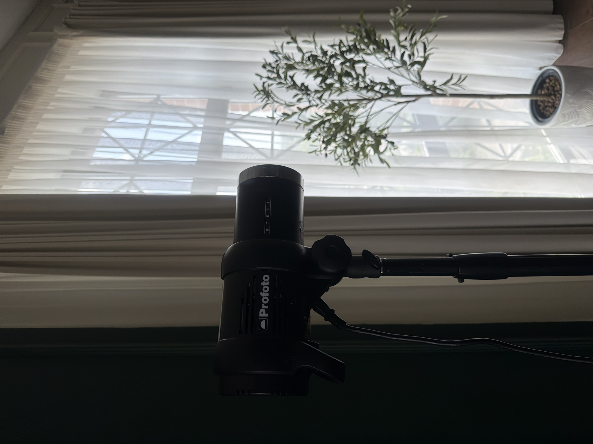A dark-toned photograph features a Profoto brand studio lighting head mounted on a black pole, set against a backdrop of white sheer curtains covering a window. Through the curtain, an ornamental plant in a white pot is partially visible. The foreground and lower portion of the image are predominantly dark. The image was most likely taken indoors. There is no indication that the photograph was taken in Rostov-on-Don, Russia.
