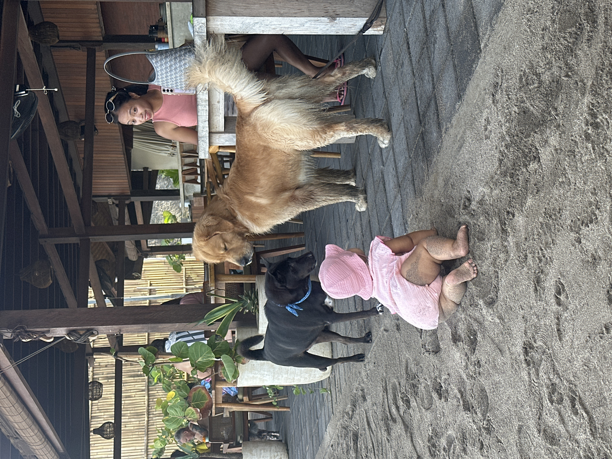 The image depicts a scene at a beachside establishment in North Kuta, Indonesia. A woman is seated at a table on a wooden deck, accompanied by a golden retriever dog. Beside them, on a sandy patch, a baby wearing a pink outfit and hat is lying on the ground, close to a black dog with a blue collar. The scene suggests a relaxed, outdoor setting.