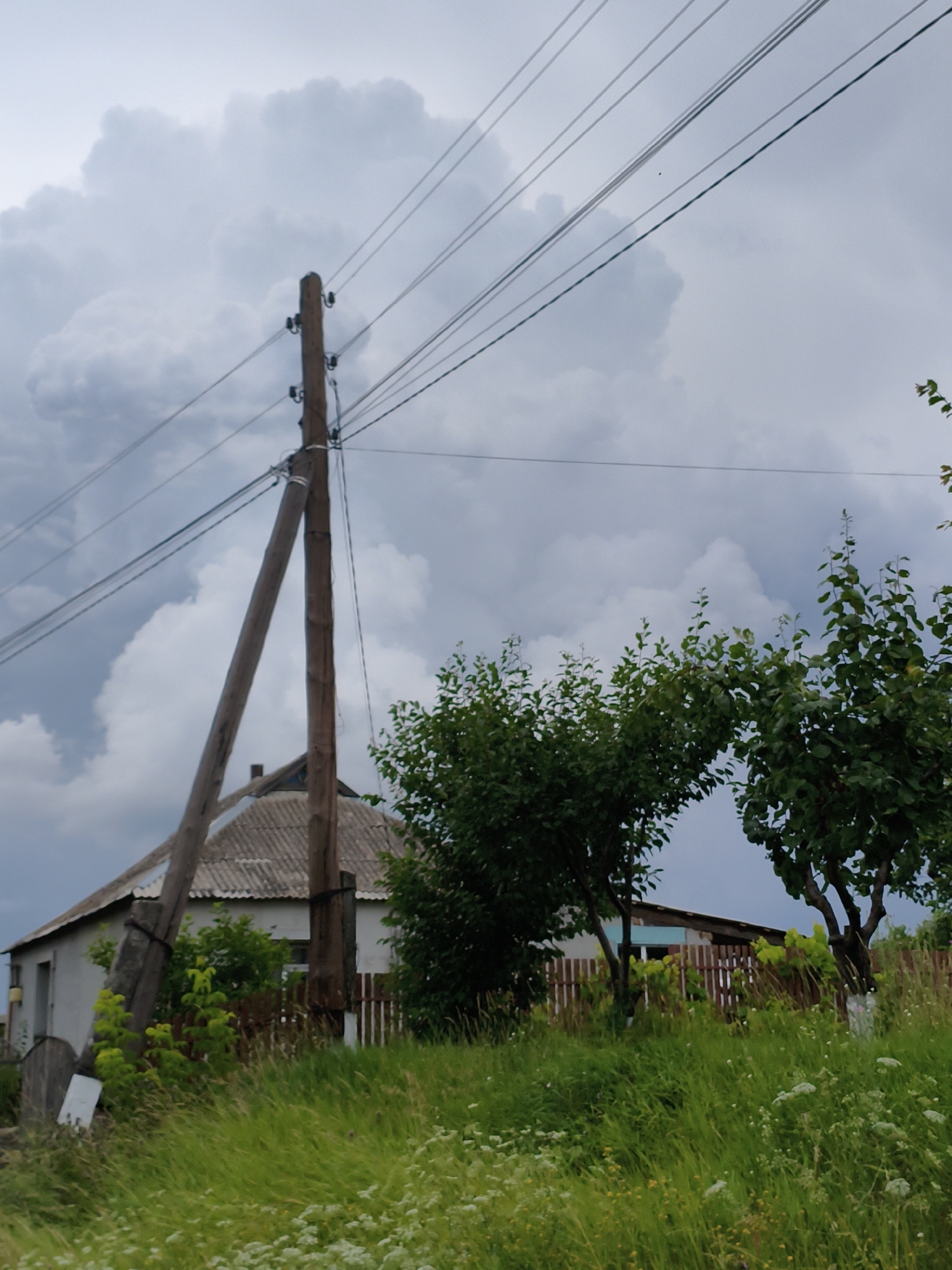 The image depicts a rural scene in the village of Ustyvytsia, Ukraine, under a cloudy sky. In the foreground, tall green grass and some white wildflowers are visible. A wooden pole with attached wires dominates the center-left of the frame, with a diagonal wooden support extending from it. Behind this, a small, white house with a grey, corrugated roof is partially visible. A wooden fence runs behind the house. Two trees with dense green foliage are present in the middle ground, one on the left and another on the right, framing a section of the house and fence. The overall atmosphere is overcast, suggesting potentially inclement weather. There are no people visible in the image.
