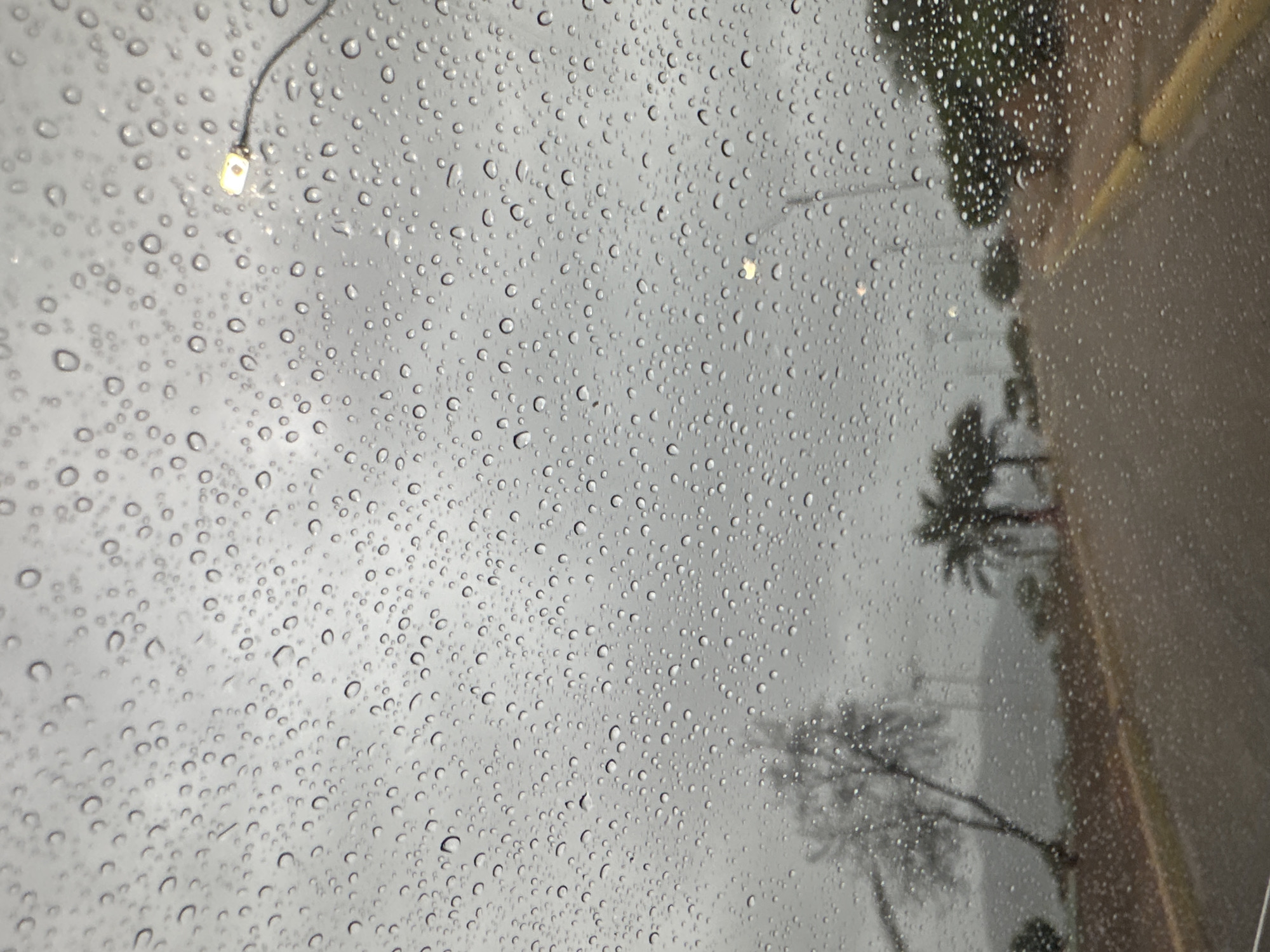The image is a close-up, interior view through a rain-streaked windshield in Juan Griego, Venezuela. The foreground is dominated by numerous water droplets of varying sizes clinging to the glass, obscuring the view. Beyond the windshield, the scene depicts a cloudy, overcast day. A paved road, marked with a yellow line, curves slightly into the distance. On the left side of the road, a barren tree with spindly branches stands against a misty, hilly background. Further down the road, to the right, several palm trees are visible. A street lamp with a white light is illuminated in the upper right quadrant of the image. The overall impression is one of a wet, dreary day in a semi-urban or coastal area.