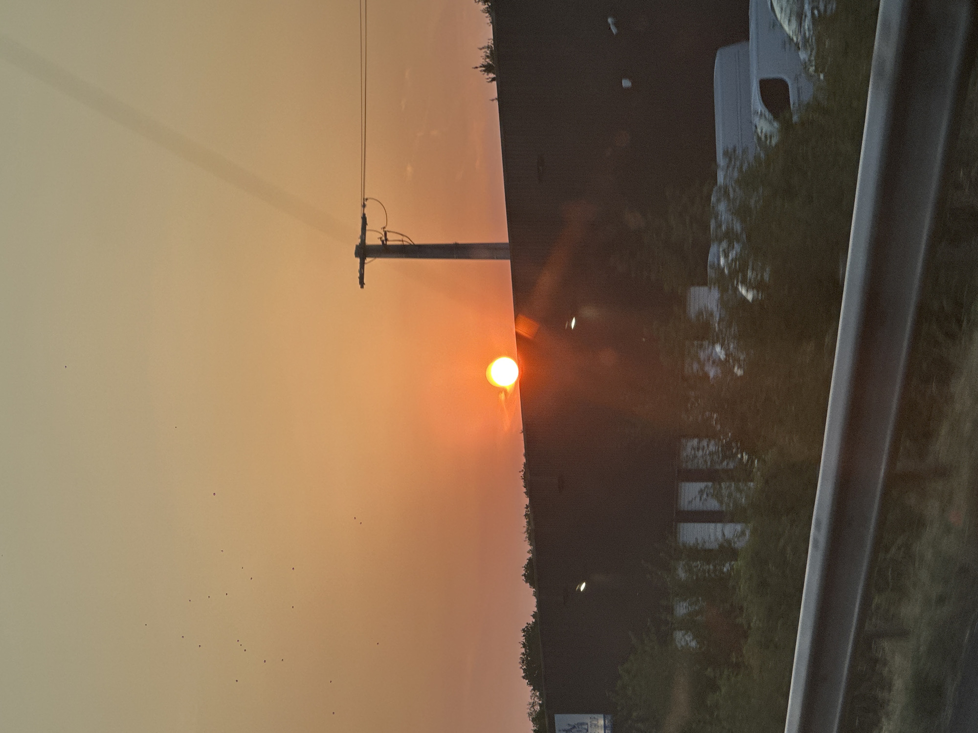 The image shows a sunset over a dark, flat-topped building, likely a warehouse or industrial facility, in Gondreville, France. The sun, a bright orange orb, is partially obscured by the top edge of the building and a utility pole with overhead wires. The sky is a gradient of orange and yellow, with some faint contrails visible. Numerous small birds are scattered across the sky. In the foreground, there is a dark guardrail, suggesting the photo was taken from a moving vehicle on a road. Behind the building, trees and parked white vans are visible. The overall scene depicts a commercial or industrial area at dusk.