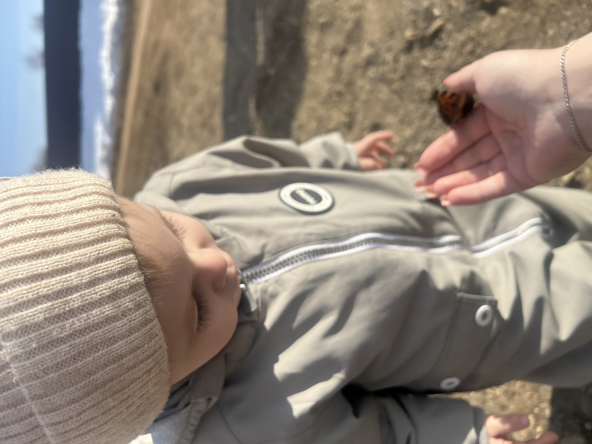 A small child in a beige knit hat and gray snowsuit lies on a sandy surface, potentially a beach. A butterfly rests on the palm of a person's hand. The hand belongs to an individual wearing a silver bracelet. The location is possibly in the city of Ольховка, Russia.