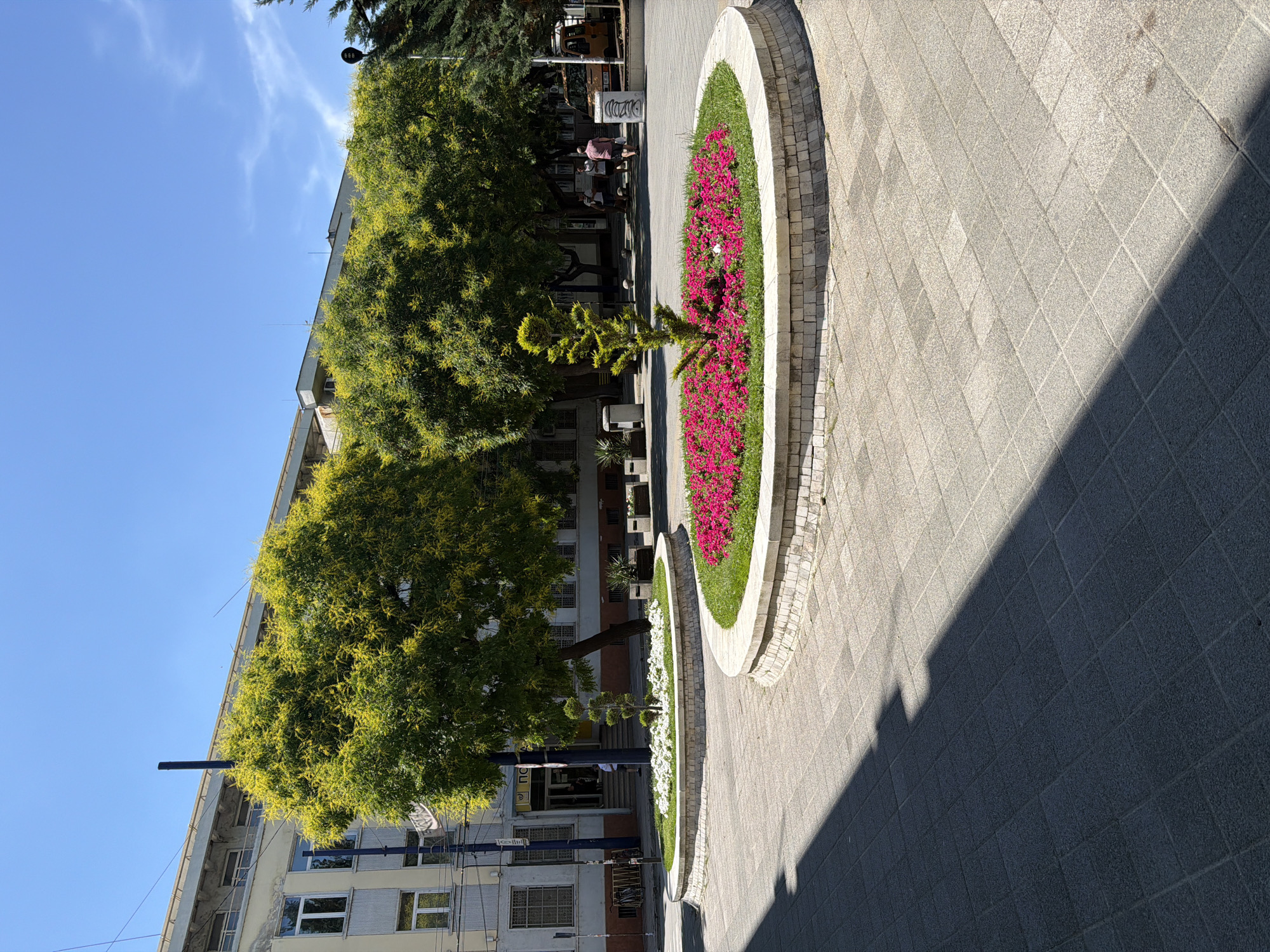 The image shows a public square in Pazardzhik, Bulgaria, on a sunny day. The foreground features a paved area with a shadow cast from an unseen object. Two circular planters are visible, one filled with white flowers and a small decorative tree, the other overflowing with bright pink flowers and a taller, conical evergreen tree. In the background, a building with light-colored walls and multiple windows stands behind a row of lush green trees, some with yellow blossoms. Several people are walking in the middle ground, and a yellow vehicle is parked on the right side. The sky is a clear blue with a few wispy clouds.