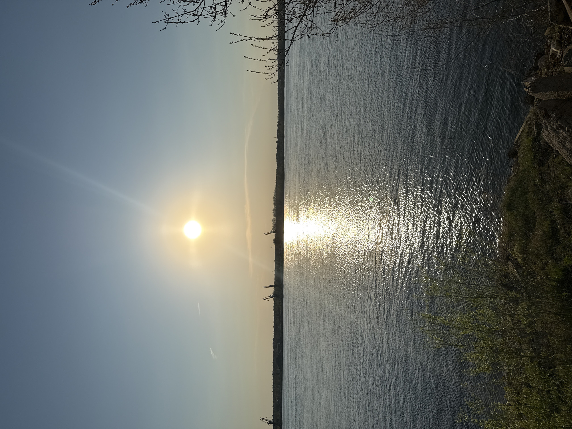 The image shows a body of water reflecting sunlight under a clear sky. The sun is low on the horizon. In the middle ground, the opposite shore is lined with vegetation and a few cranes are visible. Bare branches appear at the top of the frame, suggesting trees near the camera. On the right edge of the frame, some vegetation is visible on the shoreline. The location is likely in Chaikovsky, Russia, given the context. There are no people visible in the image.