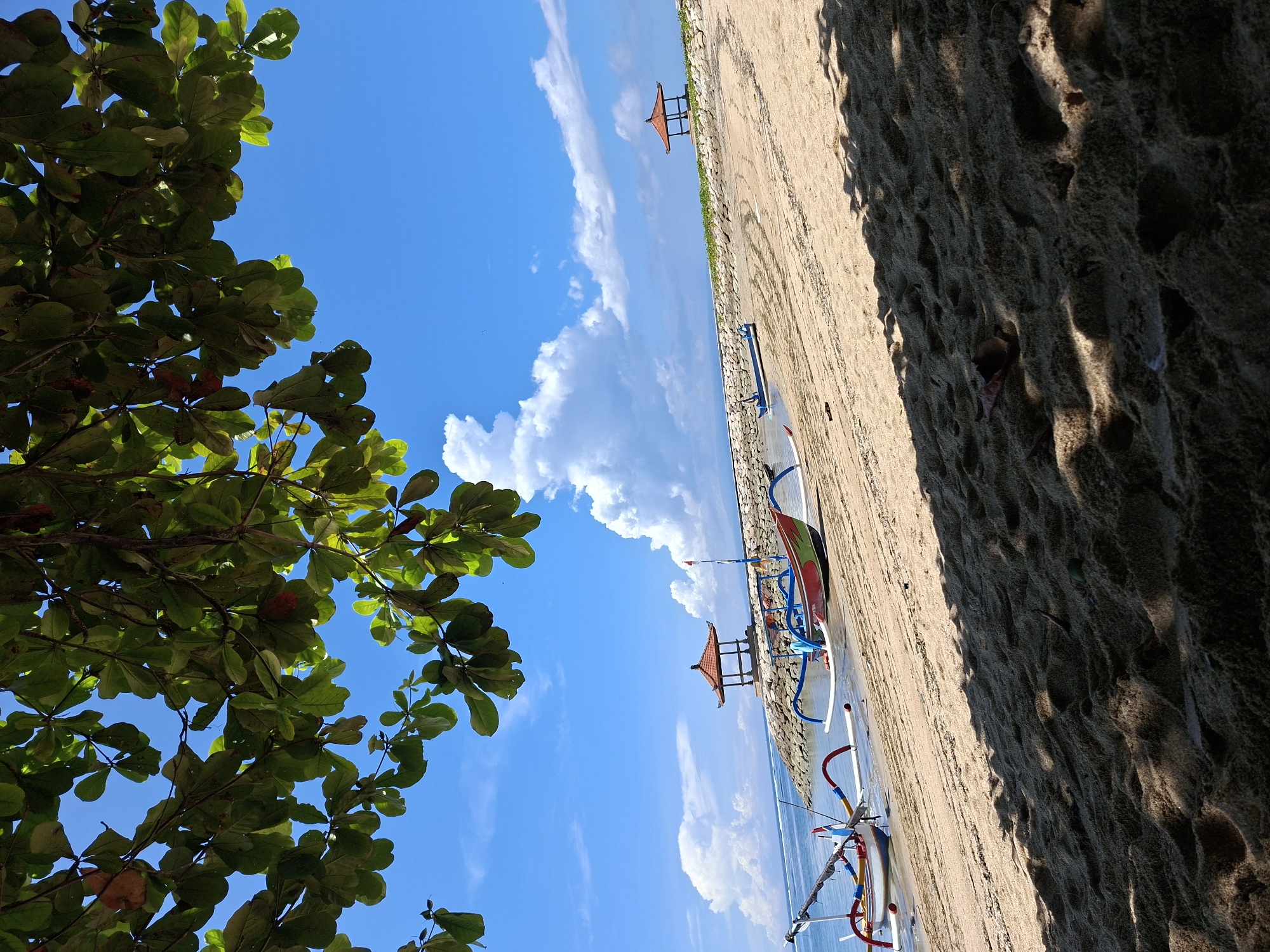 This vibrant image depicts a serene tropical beach scene in Denpasar, Indonesia, captured from a low perspective looking up through the foliage of a tree. On the left side of the frame, lush green leaves, possibly from a large tropical tree, dominate the foreground, with sunlight filtering through them to reveal some reddish fruits or discolored leaves.
Above and beyond the foliage, a bright, clear blue sky stretches across the top and right of the image, adorned with scattered fluffy white cumulus clouds. Below the sky, the calm, light blue expanse of the ocean meets a wide, light brown sandy beach.
Along the sandy shore, at least two traditional Indonesian outrigger canoes, known as Jukung boats, are beached. These long, slender boats are distinctive with their colorful outriggers, featuring poles in red, blue, and white. One visible boat has a striking red and green patterned hull. Further down the beach, two small, open-sided pavilions with characteristic red-tiled, pagoda-style roofs stand on the sand, adding a local architectural touch.
The sand exhibits varied textures, with darker, shadowed areas suggesting strong overhead sunlight, indicating a bright day, likely morning or early afternoon. The weather appears clear and pleasant. No people are visible, contributing to a tranquil and untouched atmosphere. The Jukung boats and the architectural style of the pavilions are strong indicators of the Indonesian location. There is no visible text in the image.
