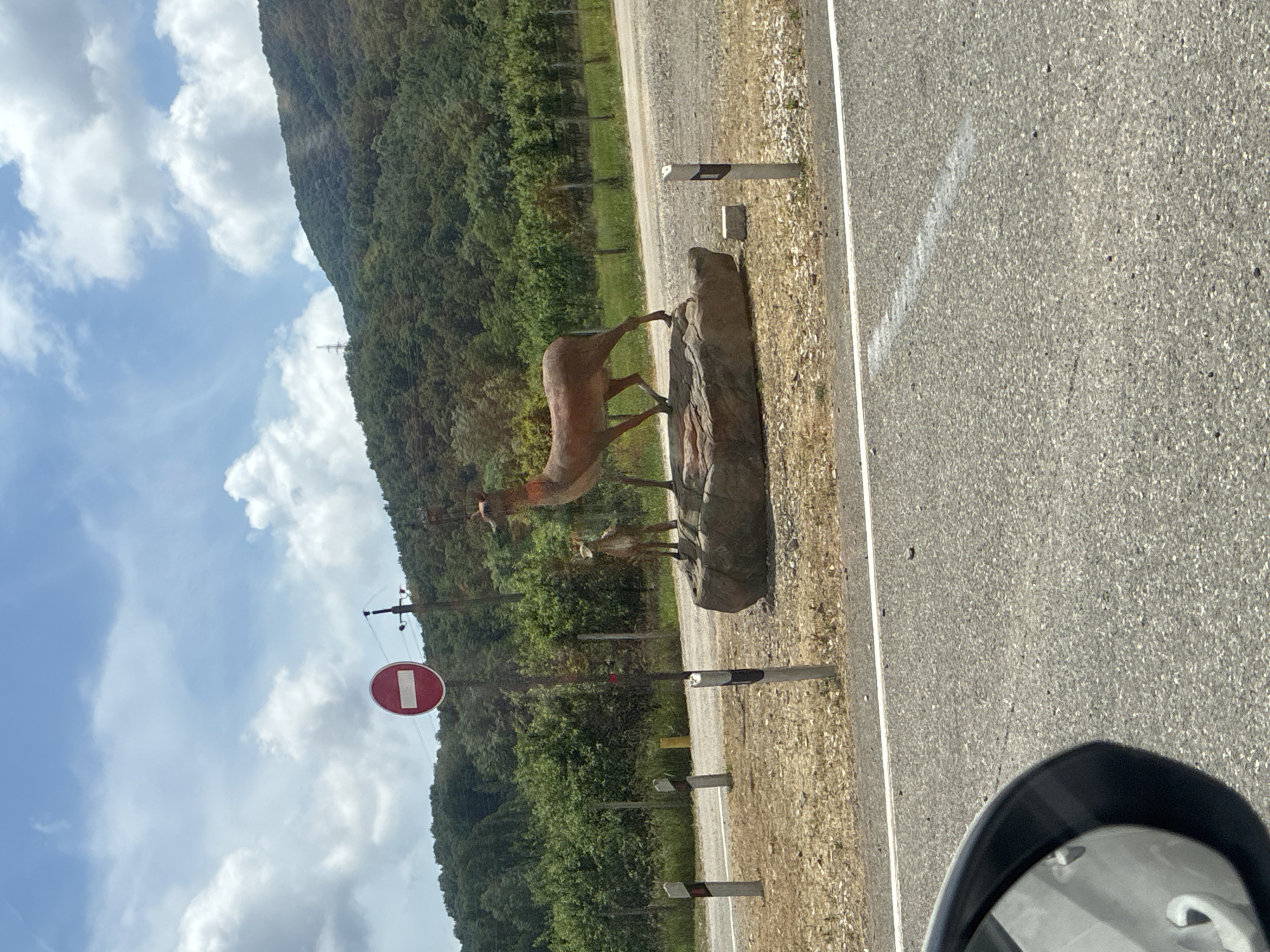 The image shows a roadside scene in Tekos, Russia. The primary subjects are two deer sculptures, one larger and one smaller, positioned on a large rock next to a paved road. The larger deer is in a walking stance, while the smaller one appears to be standing beside it. The setting is a rural environment with a lush, green forested hillside in the background. A clear sky with scattered white clouds is visible above.
A red and white "no entry" sign is mounted on a pole to the left of the deer sculptures. Along the right side of the road, there are several reflective bollards, indicating the edge of the roadway. The road itself is asphalt, with a white line marking the lane. The overall impression is that of a scenic and perhaps remote location, possibly a tourist spot or a place where wildlife is a feature.
The lighting suggests it is daytime, likely late morning or afternoon, with bright sunlight illuminating the scene. The weather appears to be clear and pleasant. There are no people visible in the image. The crops provided offer closer views of the deer sculptures, the "no entry" sign, the road surface, and the surrounding vegetation and sky. The image is oriented vertically, with the road running from the bottom right to the top left.