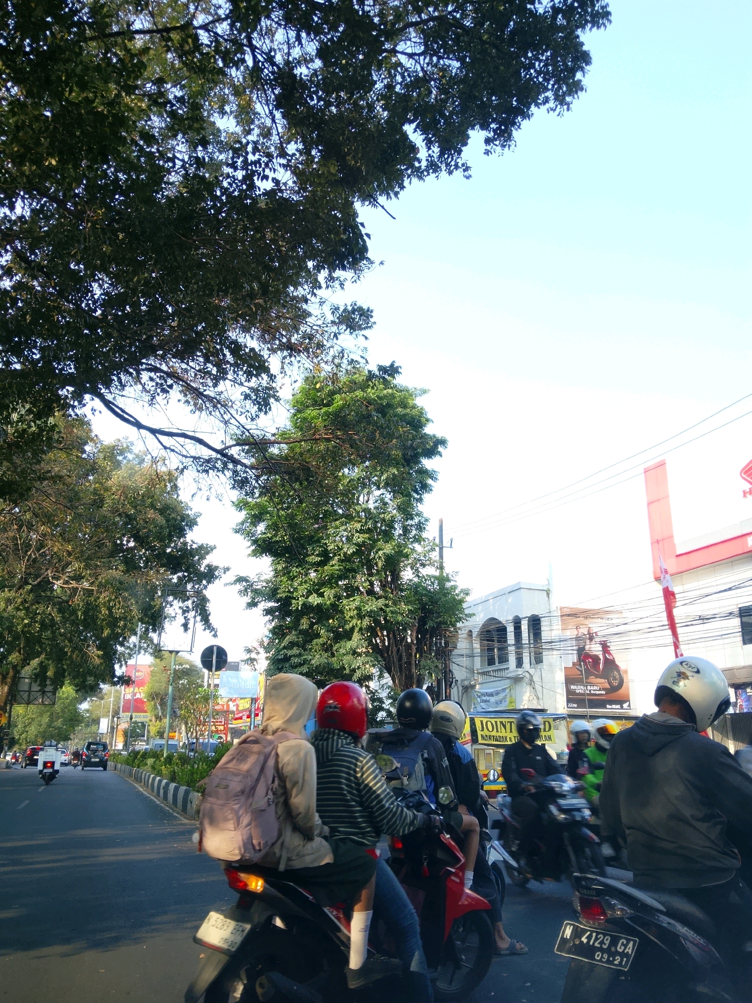 The image depicts a street scene in Malang, Indonesia, likely during daylight hours, with a clear sky and lush trees lining the road. The foreground features a motorcycle with two individuals. The person in the rear is wearing a light-colored hooded jacket and a backpack, while the person in front has on a striped long-sleeved shirt and a red helmet. They are positioned on a street with other motorcycles and cars, indicating moderate traffic. In the background, several buildings are visible, including a commercial establishment with a red and white sign, and other structures with advertising banners. The street is paved, with a curb and a landscaped median. The overall impression is that of a busy urban environment with a blend of vehicles, pedestrians, and commercial activity.