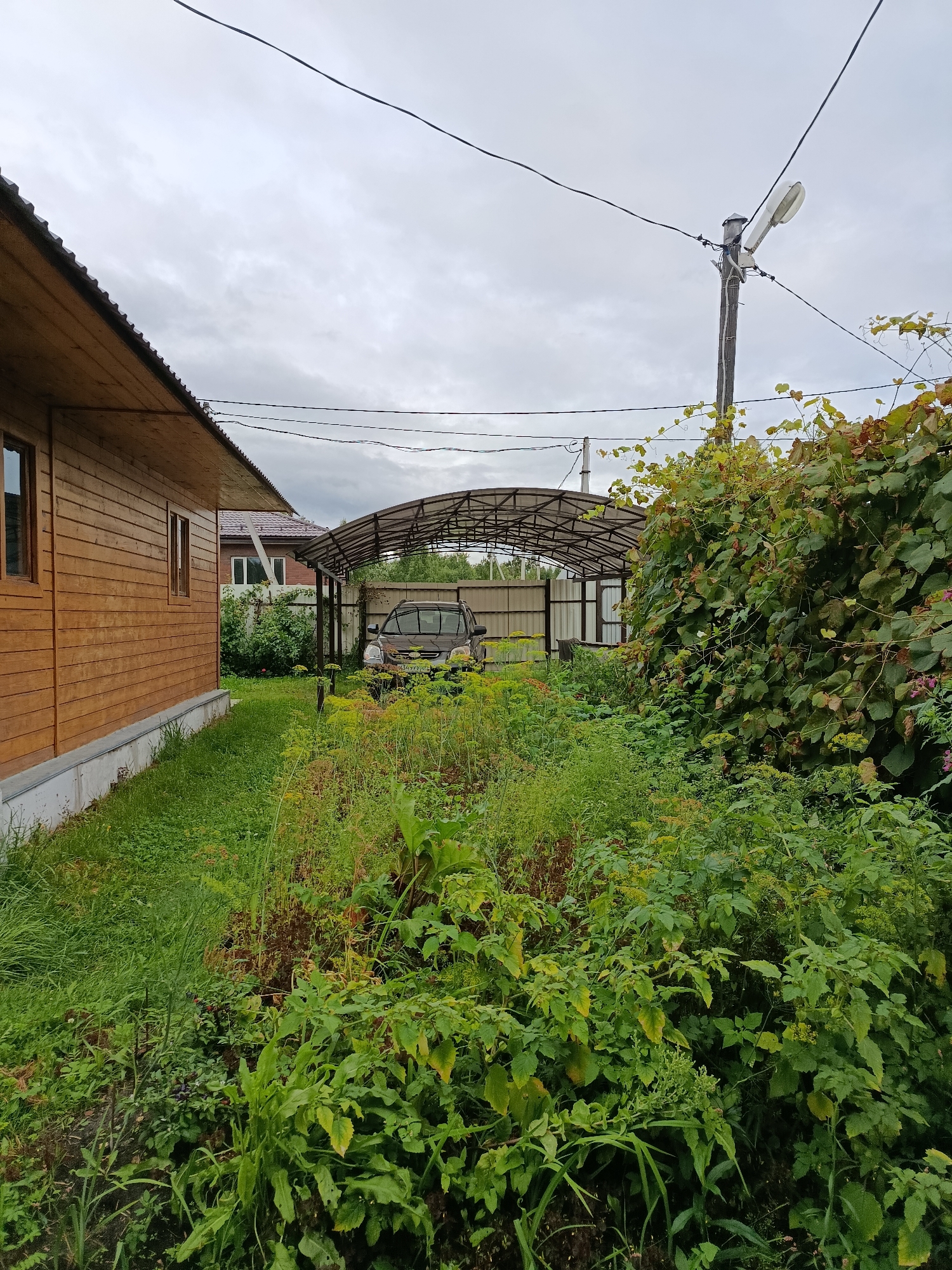 The image depicts an overcast day in a residential area of Verеya, Russia. In the foreground, a wooden house with a dark metal roof is visible on the left side. The house has two windows on the visible side. Adjacent to the house, a lawn transitions into an overgrown area with dense green vegetation, including tall grasses, leafy plants, and some flowering plants.
In the midground, a covered parking structure with a transparent, arched roof shelters a dark-colored SUV. A metal fence runs behind the parking structure, and further back, another house with a red brick facade and a brown roof is partially visible. A wooden utility pole with a street lamp and electrical wires stands prominently in the mid-right of the frame, with a thick vine with large green leaves growing up its side. The sky is filled with grey, heavy clouds. The overall scene suggests a rural or suburban property in Russia, characterized by lush vegetation and functional structures. There are no people visible in the image.