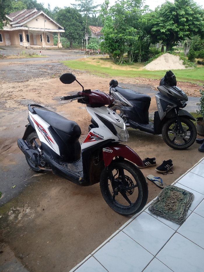 Memory