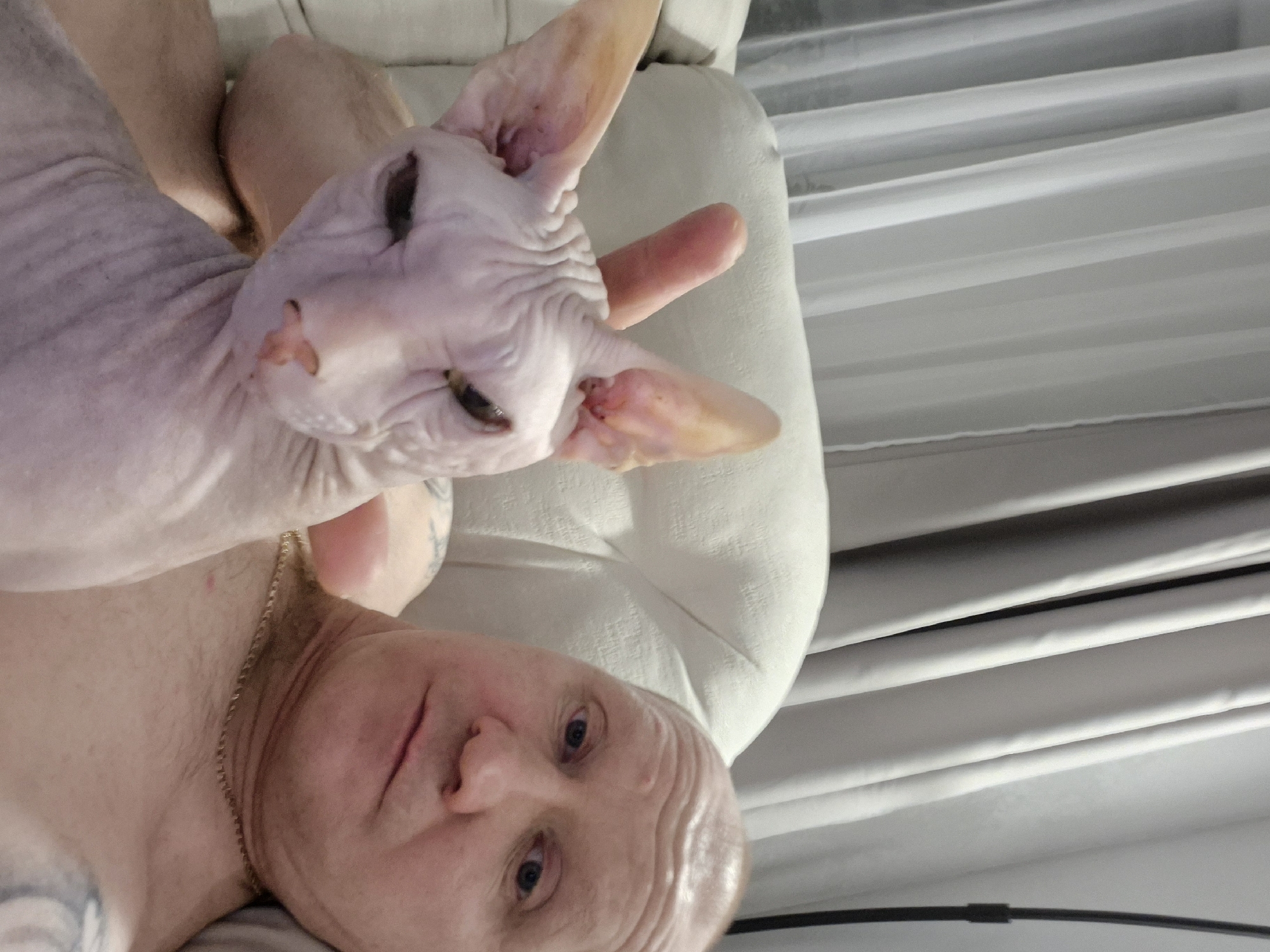 The image depicts a man lying down with a hairless cat, possibly a Sphynx, nestled close to his head. The man appears to be middle-aged with light skin and blue eyes. He is wearing a thin gold chain around his neck. The cat has wrinkled, pink skin with large ears. The background shows a white upholstered surface and a sheer, layered curtain. The location is stated to be Chaikovsky, Russia. The scene suggests a moment of rest or affection between the man and his cat.