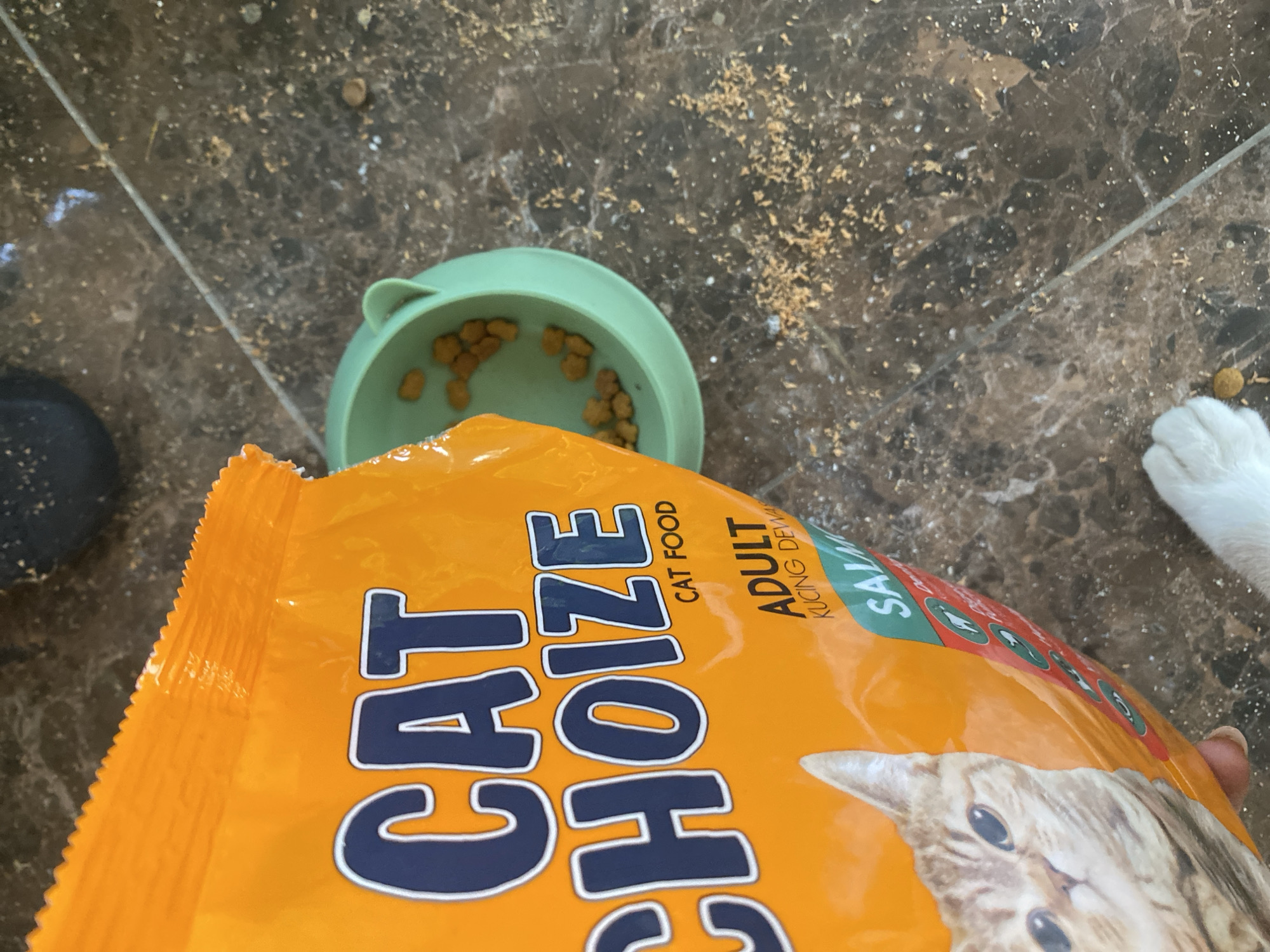 An orange bag of "CAT CHOIZE" cat food is held by a person's hand, partially obscuring a green cat bowl filled with kibble. The bag's branding is clearly visible, with "CAT" and "CHOIZE" in large, dark blue letters. Below "CHOIZE" is smaller text that reads "CAT FOOD". Further down the bag, text indicates "ADULT" and "KUCING DEWA", suggesting it is adult cat food. There is also a partial view of a cat's face on the bag. The scene appears to be on a marble-patterned floor, with spilled kibble scattered around the bowl and on the floor. In the lower right corner, a white cat's paw is visible. The image is taken from a top-down perspective. The location is identified as Kuta Selatan, Indonesia.