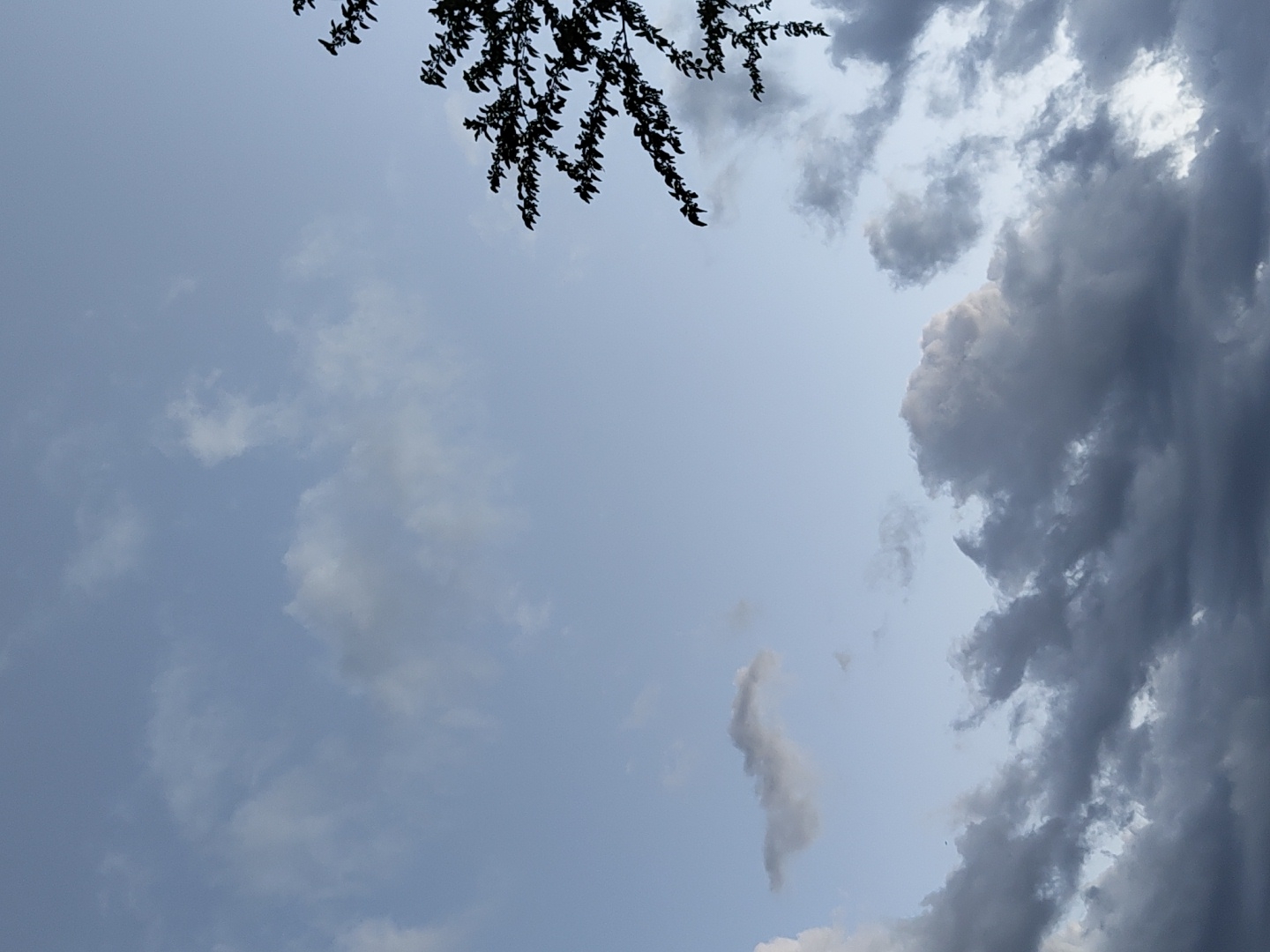 The image shows a cloudy sky with some tree branches in the upper part of the frame. The location is unknown.