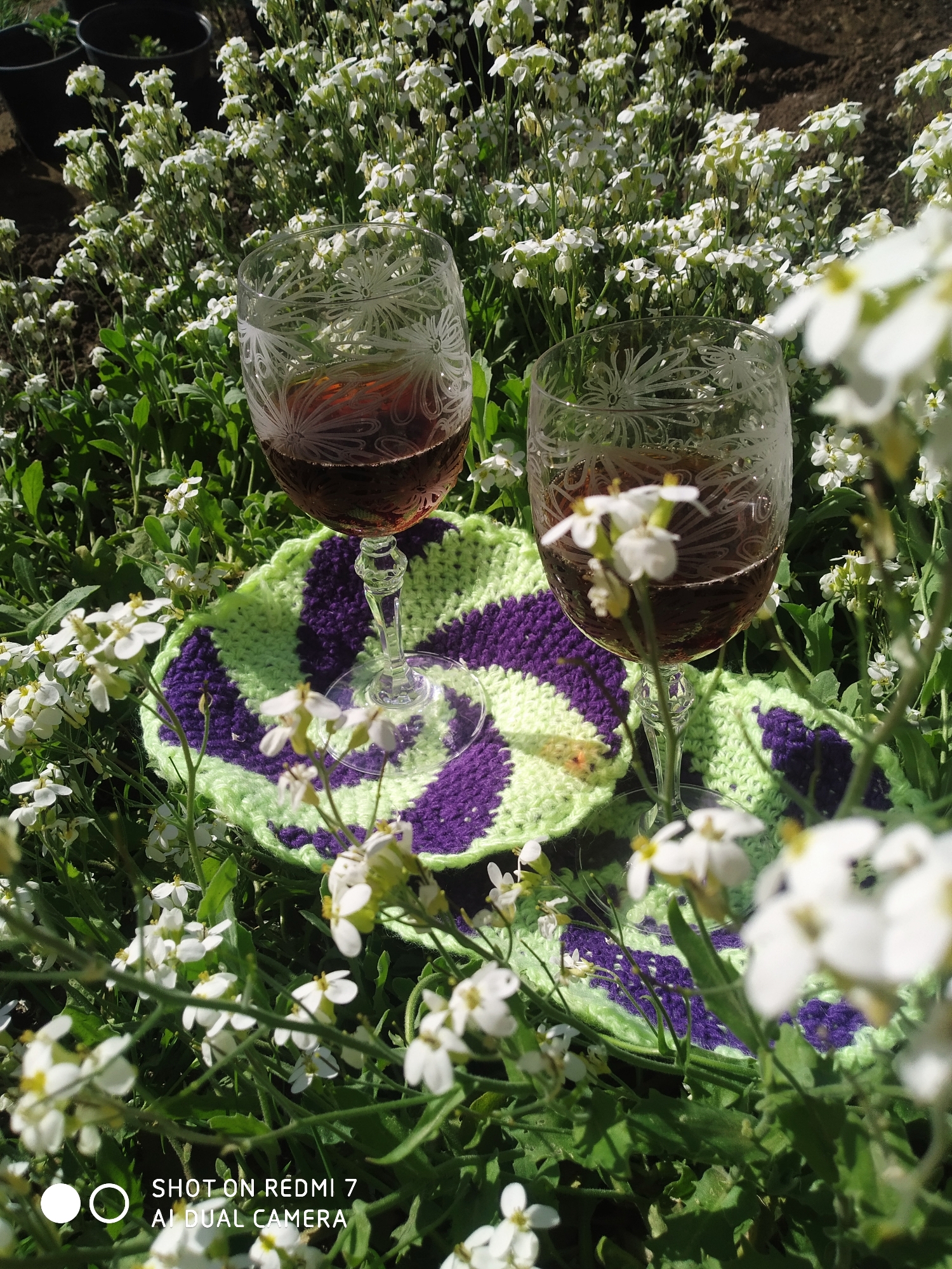 Two wine glasses containing a dark liquid sit on a round, crocheted coaster with alternating purple and lime green stripes. The glasses are surrounded by a field of small, white flowers. The background is a blur of similar flowers and green foliage. The location is likely outdoors, possibly a garden. The text "SHOT ON REDMI 7 AI DUAL CAMERA" is visible at the bottom of the frame, indicating a smartphone camera was used. There are no people visible. The focus is on the wine glasses and the surrounding floral environment. The scene suggests a leisurely, outdoor setting.