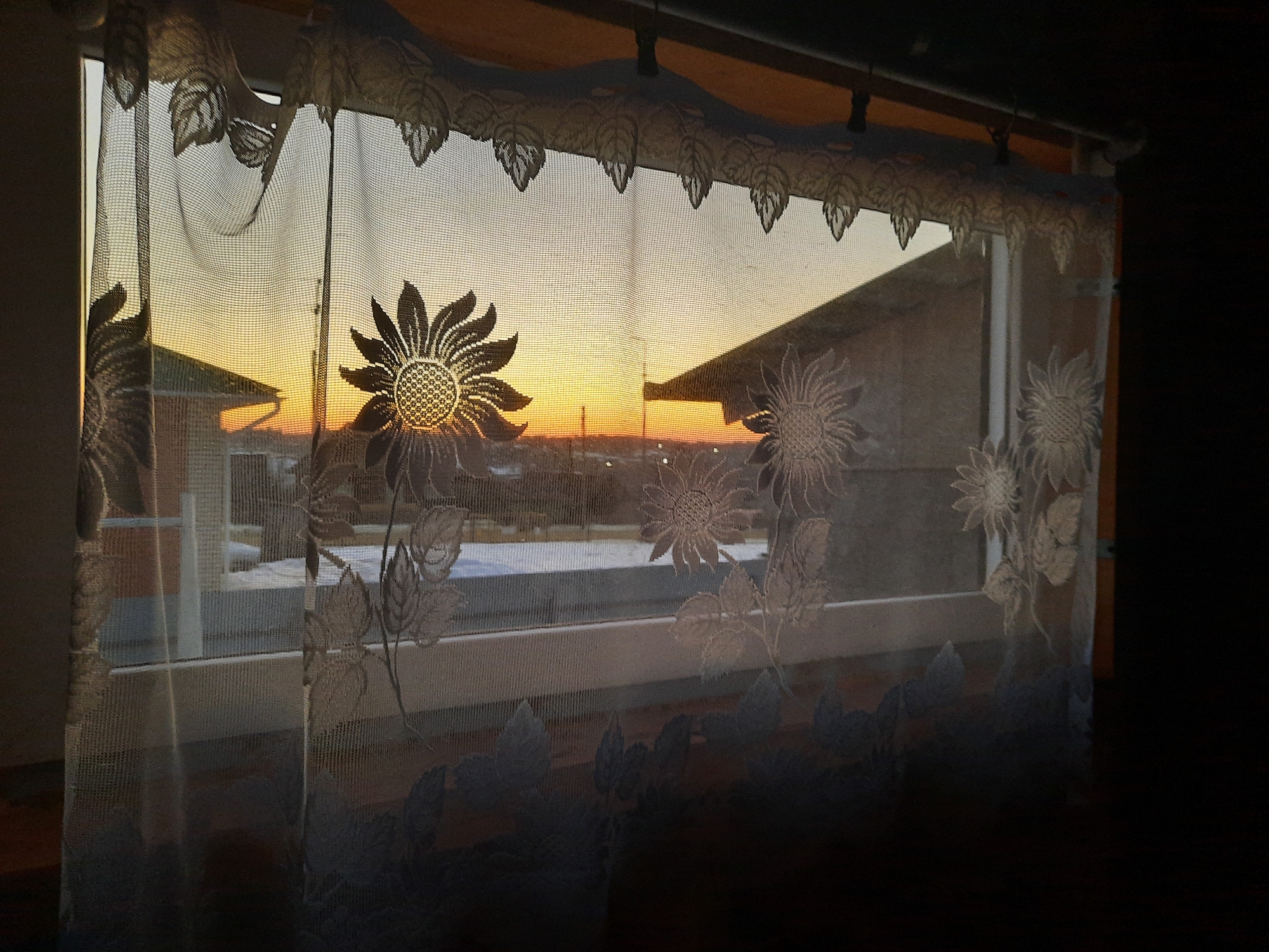 The image depicts a view from inside a building, looking out through a window covered with a sheer, patterned curtain. The curtain features floral designs, primarily sunflowers, and is obscuring a sunset in the distance. Through the curtain, the outlines of buildings and a flat horizon suggest a cityscape, potentially Krasnogorskoye, Russia. The light from the setting sun casts a warm glow on the scene, while the interior of the room is relatively dark. The window frame is visible, and a window sill is present. The color temperature suggests either dawn or dusk.