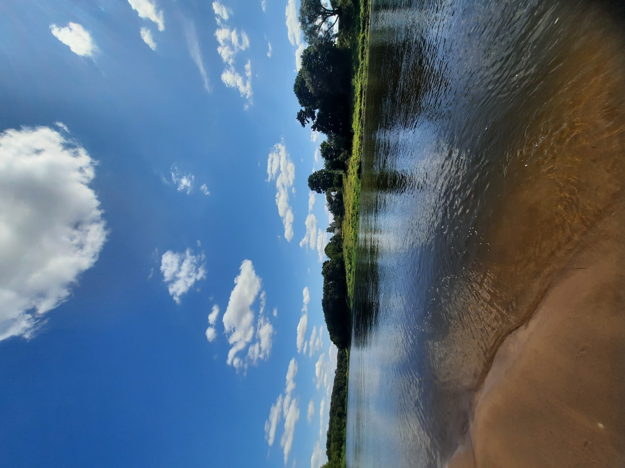 The image shows a wide river flowing through a lush green landscape under a bright blue sky dotted with fluffy white clouds. The river's surface reflects the sky and the surrounding trees, creating a serene and picturesque scene. The left bank of the river is a sandy shore, with gentle waves lapping at the edge. The opposite bank is lined with dense trees and vegetation, suggesting a natural, undeveloped area. The overall impression is one of tranquility and natural beauty. This scene likely depicts the Dnieper River in the vicinity of Shklov, Belarus, a city known for its historical significance and picturesque surroundings along the riverbanks.