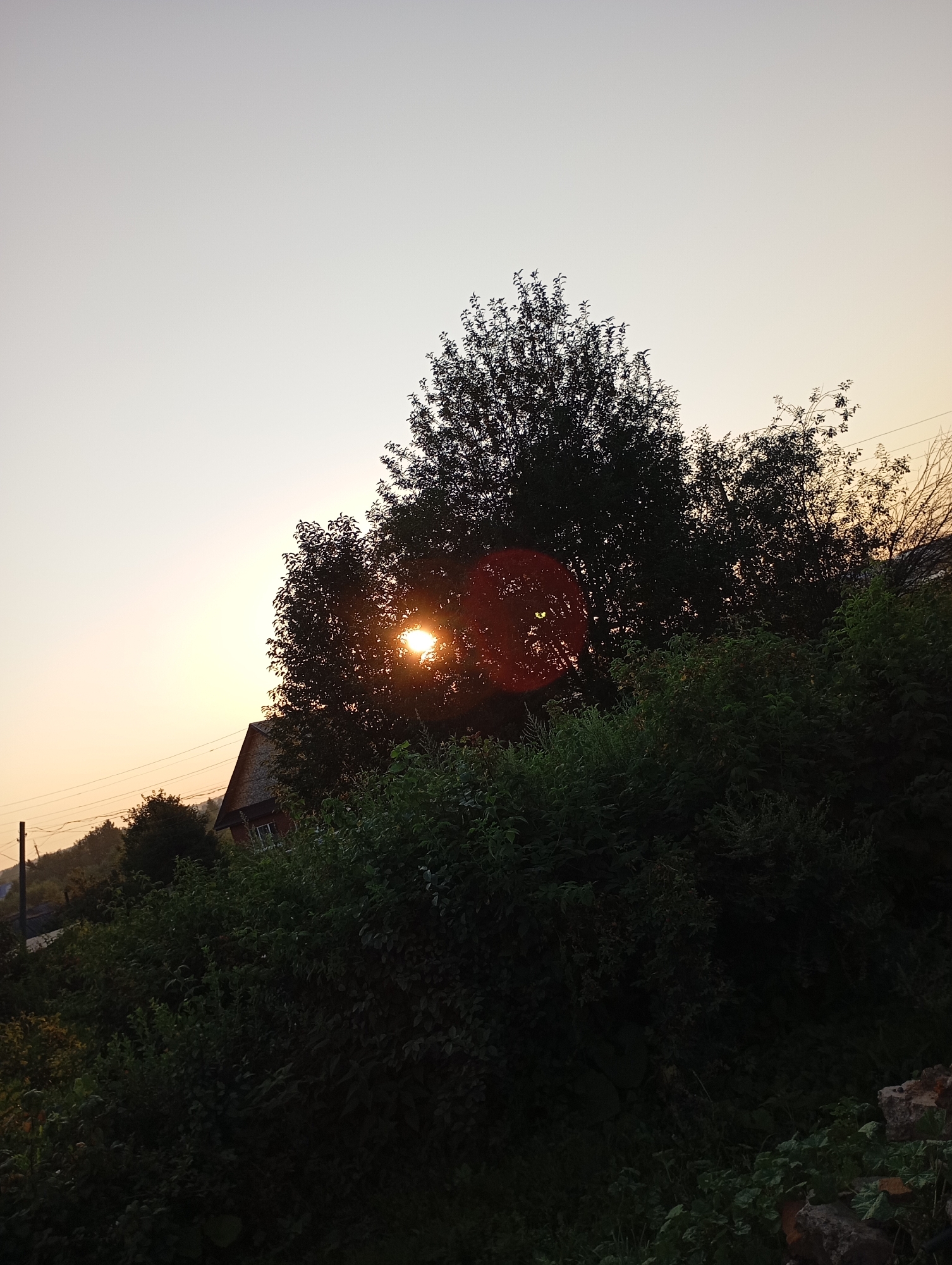 The image shows a sunset scene in a rural area, likely on the outskirts of the city of Фоки, Russia. Silhouetted against the warm, gradient sky are lush green trees and dense shrubbery. The sun, partially obscured by the foliage, emits a bright glow, creating lens flare effects. A residential building with a sloped roof is visible behind the trees. Power lines and a utility pole are present in the background, suggesting a settled area. The overall atmosphere is tranquil and natural.