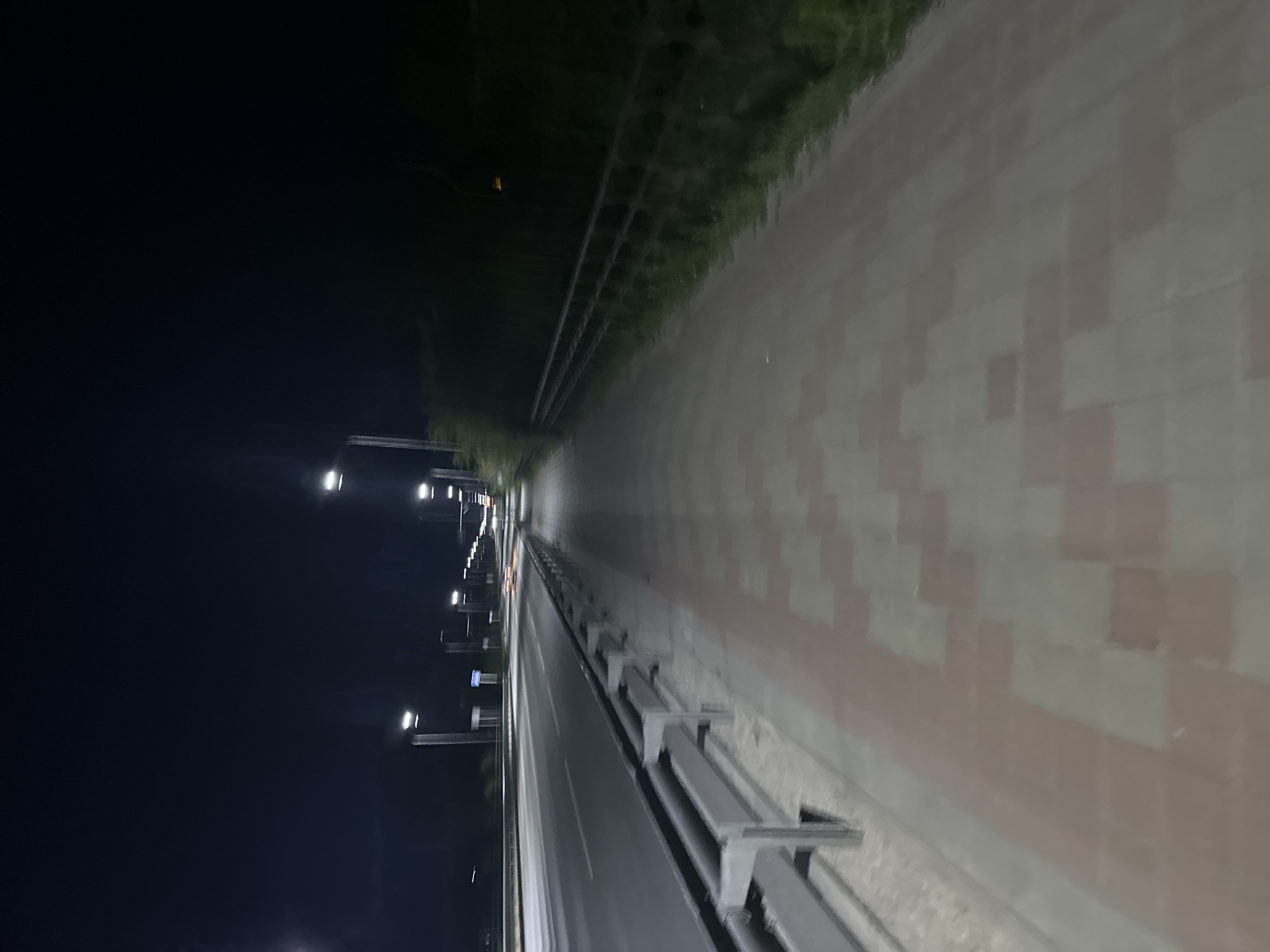 The image depicts an outdoor scene at night, likely a road or highway. On the left, a multi-lane road is visible with cars driving by, their headlights and taillights creating streaks of light. A metal guardrail separates the road from a paved sidewalk on the right. The sidewalk is illuminated by streetlights, which are positioned along the road. The sidewalk itself is paved with alternating red and gray rectangular tiles. Beyond the sidewalk, a dense line of dark green bushes or trees forms a backdrop, with a dark, possibly grassy area between the bushes and the sidewalk. The sky is dark, indicating nighttime. The scene appears to be in a somewhat urban or suburban area, given the road infrastructure and street lighting. The location is specified as Заречный ауылдық округі, Kazakhstan.