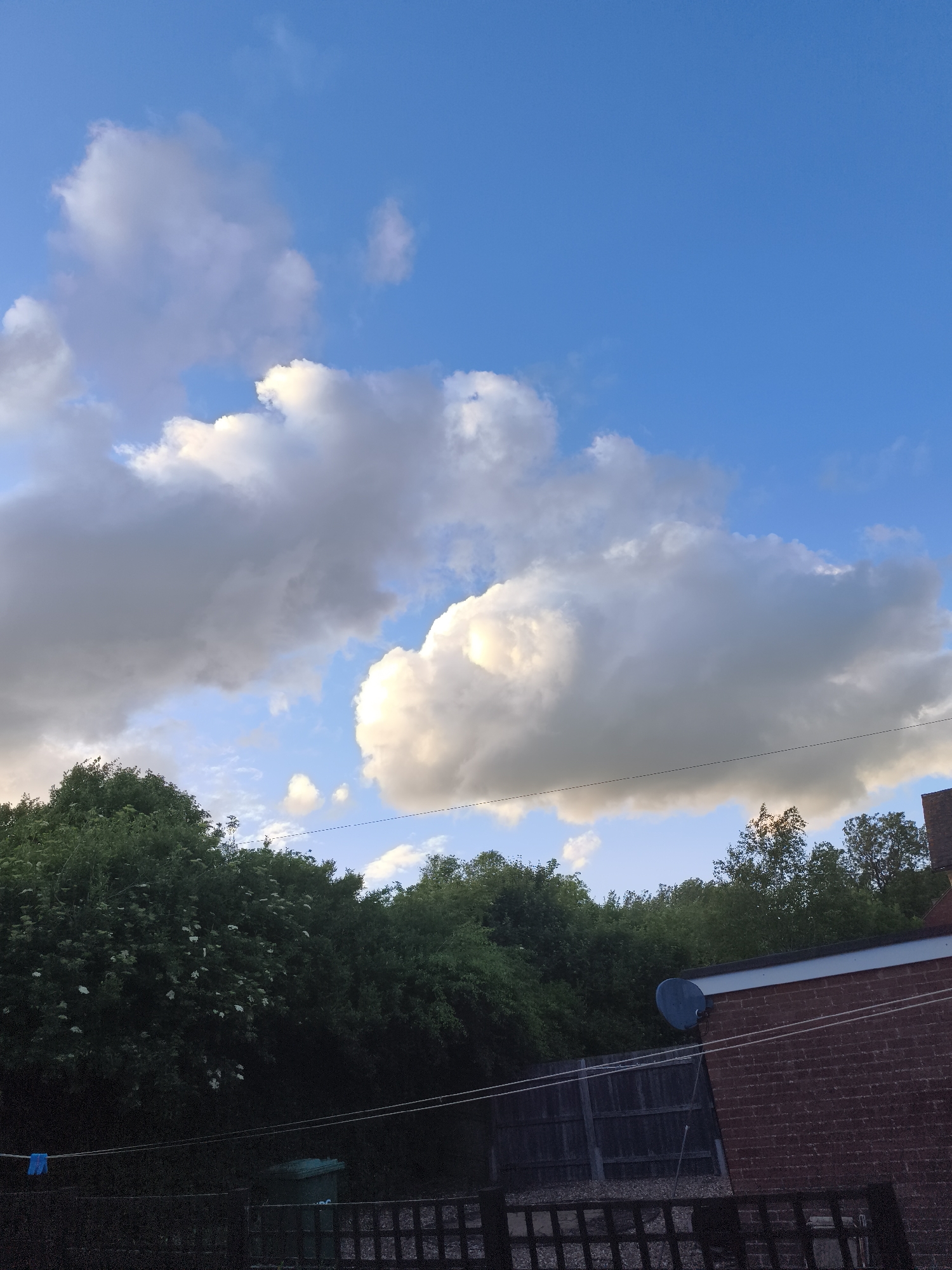 The image captures an outdoor scene, likely a backyard or garden in Huntingdonshire, United Kingdom, under a vibrant blue sky filled with large, dramatic cumulus clouds. The time of day appears to be either late afternoon or early morning, as indicated by the bright, almost golden sunlight illuminating the edges of some clouds, casting strong highlights.
The upper two-thirds of the photograph are dominated by the sky and clouds. The clear blue sky is interspersed with thick, white and grey clouds, some appearing fluffy and radiant, while others exhibit darker, shadowed undersides, suggesting depth and volume. A thin, horizontal power line or wire is visible stretching across the mid-section of the sky, above the tree line.
In the mid-ground, a dense expanse of lush green trees and bushes forms a natural barrier, extending across the width of the frame. The foliage is thick and verdant, with some areas showing lighter green leaves and small white blossoms, particularly on the left side. The trees cast deep shadows, contrasting with the bright sky.
The lower portion of the image reveals elements of a residential property. A dark wooden fence or trellis runs along the bottom edge, with another, taller wooden fence visible behind it towards the right. A clothesline stretches horizontally across the lower-mid part of the image, with a blue piece of fabric hanging on the leftmost segment. A dark green wheelie bin is partially visible behind the clothesline and fence, nestled amongst the shadows beneath the trees on the left.
On the far right, part of a brick building is visible, featuring red brickwork, a dark roofline, and a white fascia board. A grey satellite dish is mounted prominently on the brick wall. No people or specific activities are depicted, giving the scene a serene and tranquil atmosphere. The overall impression is one of a peaceful, everyday view from a residential area on a pleasant, partly cloudy day.