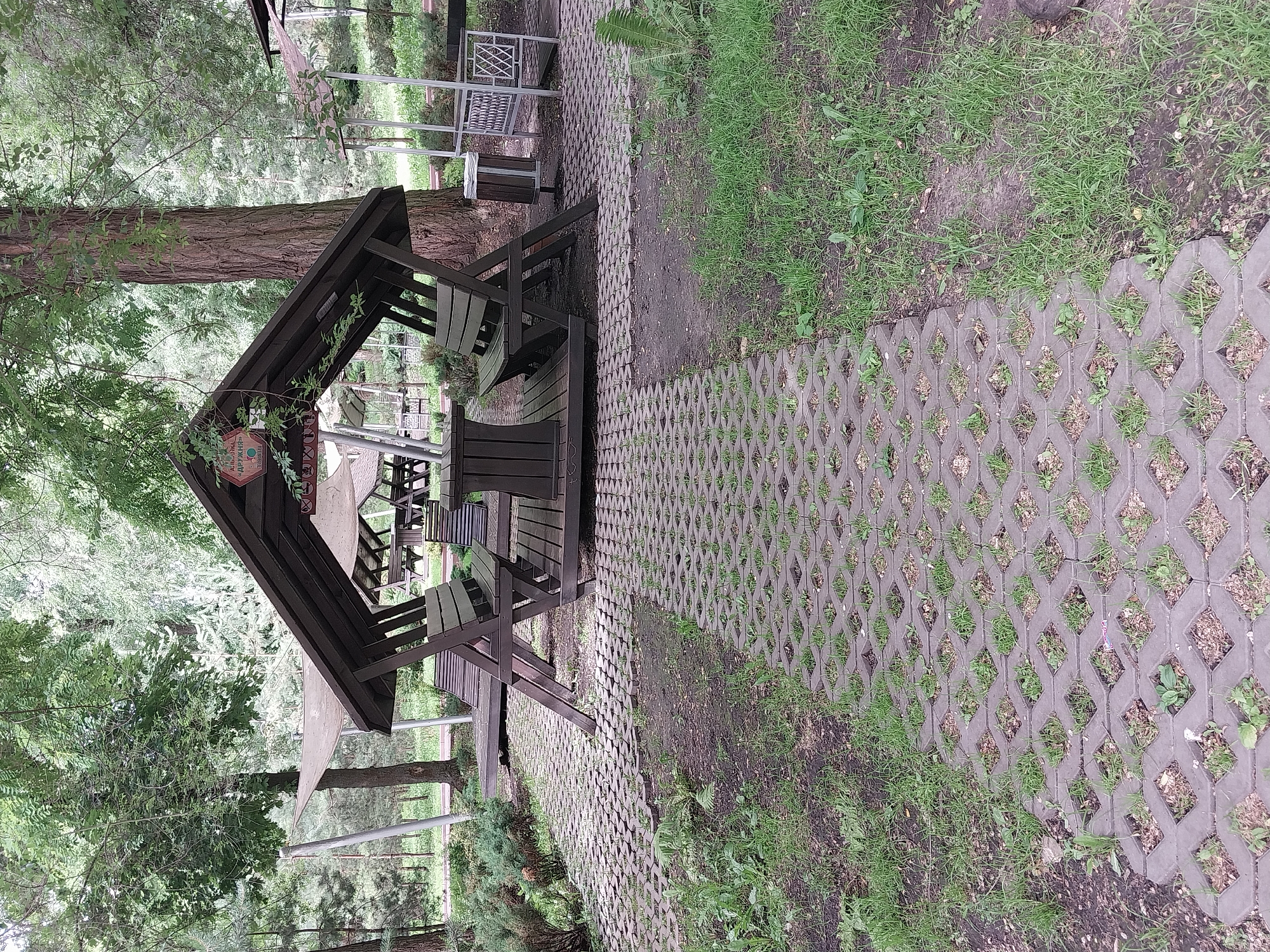 The image shows an outdoor seating area in a park-like setting, likely within the city of Dnipro, Ukraine, given the Russian text on a sign. In the foreground, a pathway made of interlocking grey concrete pavers with openings filled with grass leads towards a covered wooden gazebo. The gazebo has a dark brown wooden roof and is furnished with wooden benches and a table. The sign above the entrance to the gazebo reads "АЛЬП-КАФЕ «ДРУЗЬЯ»", which translates to "ALP-CAFE 'FRIENDS'". Beyond the gazebo, another similar structure with a lighter-colored canopy is visible, along with more picnic tables and benches, all surrounded by mature trees and greenery. The ground cover consists of grass and patches of soil. There are no people or animals present in the scene. The overall impression is a serene outdoor recreational space.