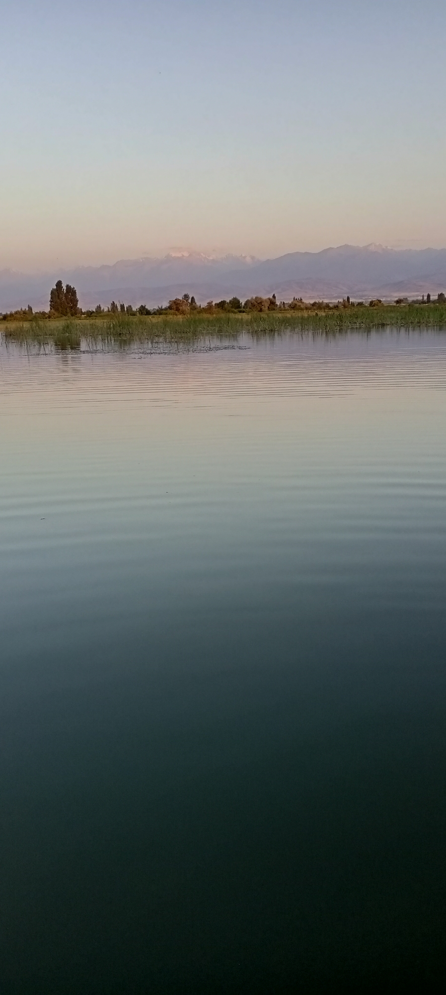A serene, wide shot captures a tranquil lake at sunset or sunrise, with a distant mountain range forming a hazy backdrop. The sky transitions from a pale blue at the top to soft hues of pink and orange near the horizon, creating a gentle gradient. The water's surface is calm, with subtle, concentric ripples reflecting the sky's colors. A line of reeds and scattered trees marks the shoreline, contrasting with the smooth water. The overall impression is one of peaceful solitude, a quiet moment at the edge of nature. The image does not depict the city of Aral, Kyrgyzstan, as it is a desert city that does not have lakes.