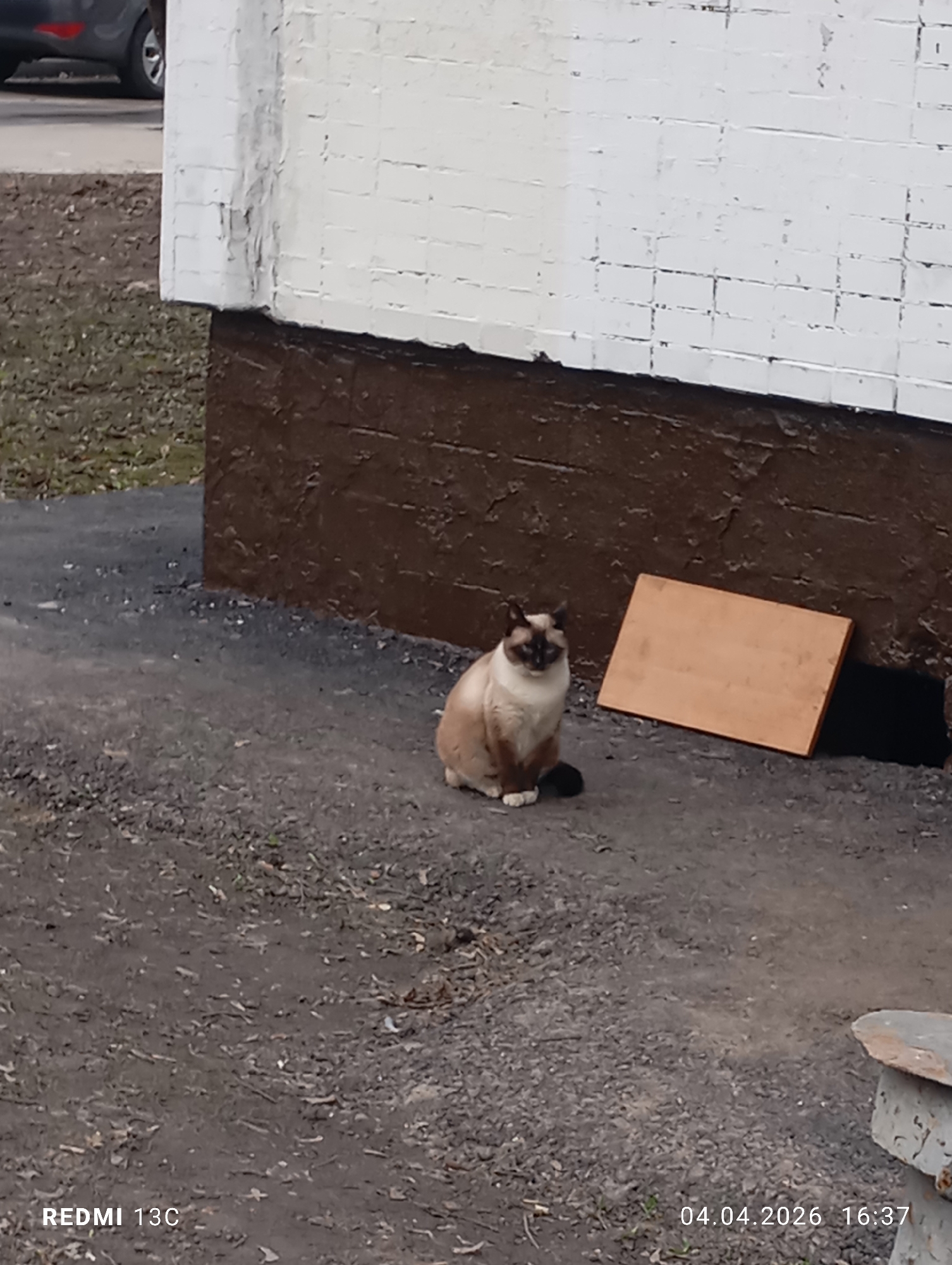 A Siamese cat sits on a gray, gravelly surface next to a building foundation. The building has a lower portion painted brown and an upper portion with whitewashed brick. A wooden plank leans against the foundation near an opening. Part of a vehicle is visible in the background. The bottom of the image contains text: "Redmi 13C 04.04.2026 16:37". There is no verifiable evidence to confirm the location is Moscow, Russia.