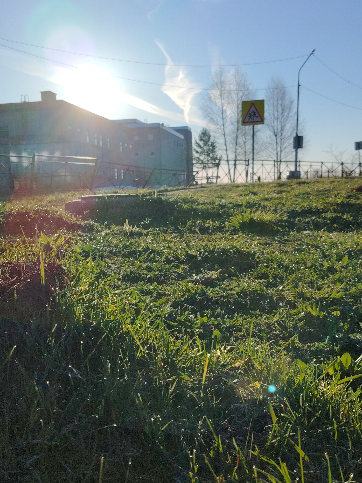 The image shows a ground-level view of a grassy area in Марковский, Russia, likely a park or a roadside. The grass is covered in dew or frost. In the background, there is a building obscured by sunlight. Also in the background, there is a yellow traffic sign with the symbol of people walking, indicating a pedestrian crossing. There's a streetlight, a fence, and thin bare trees behind the sign. Above the building, there's a bright sun in a blue sky. Some contrails are visible in the sky.