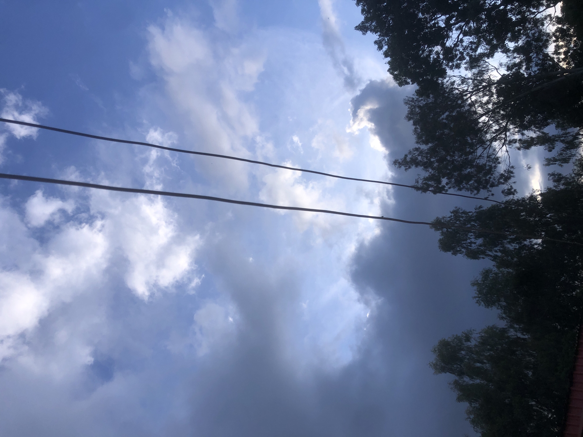 In Barakin Lerawi, Nigeria, the photograph captures a dramatic sky scene. The upper portion of the frame is dominated by a turbulent sky with a mix of dark, ominous storm clouds and brighter, sunlit patches of blue sky. Three parallel power lines stretch diagonally across the sky, dark against the atmospheric backdrop. Below the sky, the silhouettes of numerous trees form a dense canopy along the horizon. The trees are dark and detailed, their branches and leaves visible against the lighter sky. In the very bottom left of the image, a sliver of a red roofed structure is faintly visible, indicating human presence or habitation. The overall impression is one of impending weather, with the natural elements of sky and trees taking center stage.
