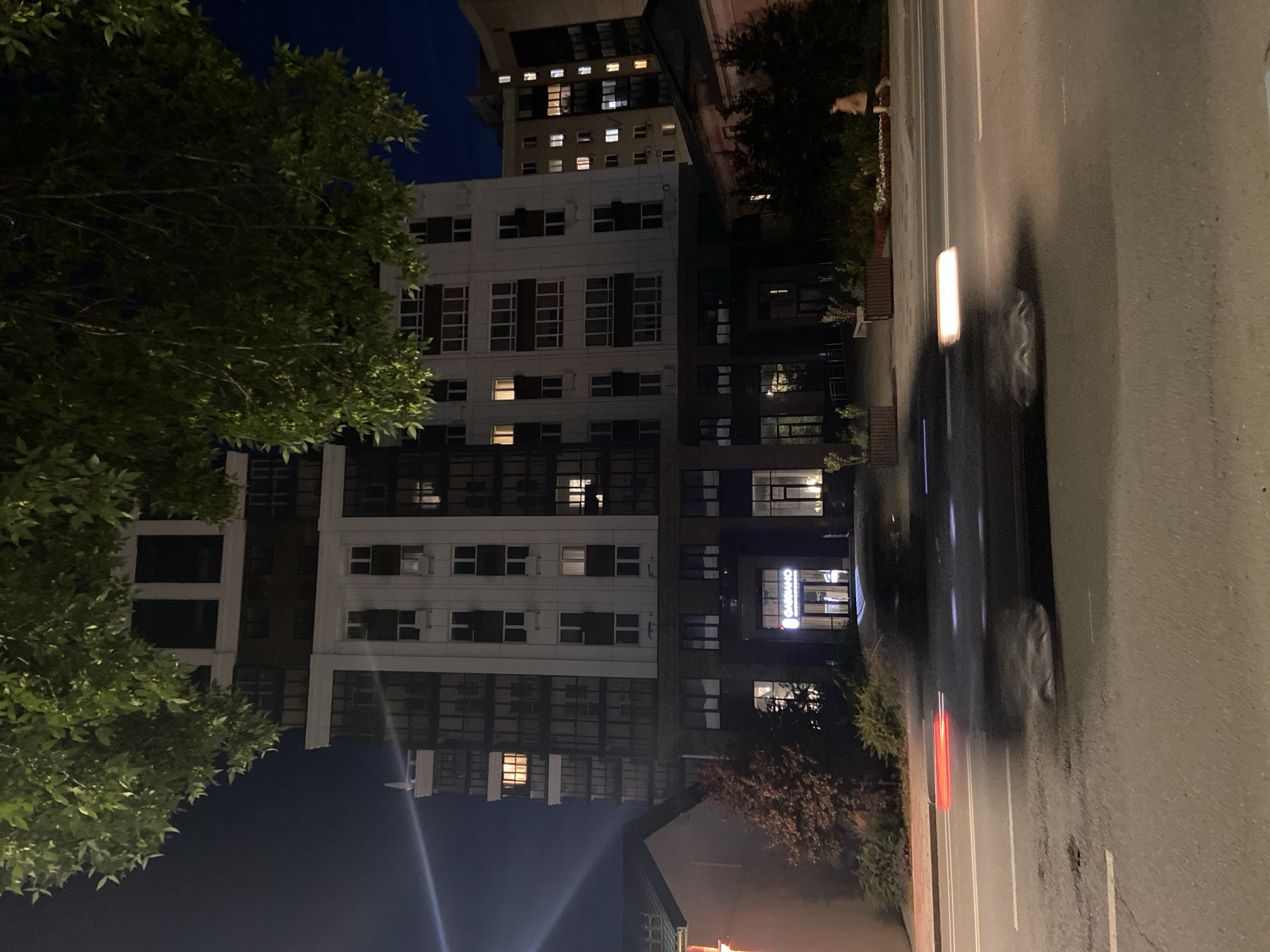 This is a nighttime, eye-level, medium shot of a street scene in Ufa, Russia. The image is vertically oriented. On the left, a large, leafy tree with bright green foliage dominates the foreground, its branches extending towards the center of the frame. Behind the tree, a modern, multi-story apartment building with a white facade and numerous windows is visible. The building's windows are dark, except for a few that are illuminated from within, suggesting the presence of residents.
To the right of the apartment building, a darker, more contemporary building is partially visible. This building also features many windows. Further to the right, a street runs horizontally across the frame. The street is wet, indicating recent rain or damp conditions. A dark-colored car is blurred by motion, driving down the street. The car's headlights and taillights create streaks of light, with a prominent red streak from the taillights.
Across the street from the buildings, a strip of greenery with flowers and some benches is visible. A light pole with a bright, rectangular lamp stands near the street. The sky is a deep, dark blue, consistent with nighttime. The overall mood is calm and urban, with the illuminated windows offering a sense of life within the buildings. The visible text on the darker building reads "GASSOVINO," likely a business name. The time of day is clearly night, and the weather appears to be damp.