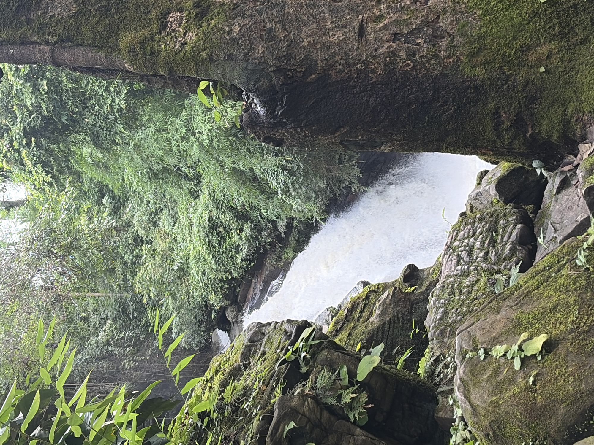 The image captures a lush, natural scene featuring a waterfall in Ban Huai Takhrai, Thailand. The waterfall cascades down a rocky incline, with white water creating a frothy spray. The surrounding environment is densely vegetated with vibrant green foliage, including bamboo-like plants and ferns clinging to moss-covered rocks. A large, textured tree trunk, also covered in moss, stands prominently in the foreground, partially obscuring the view of the waterfall. The overall impression is one of a secluded, verdant natural landscape.