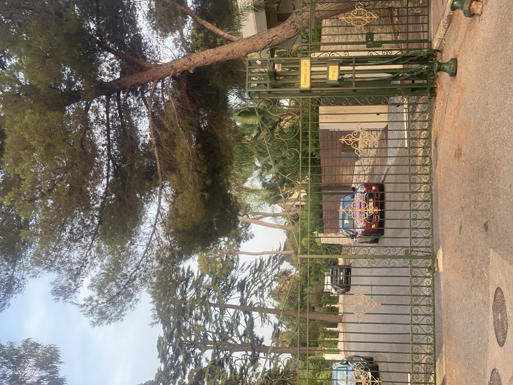The image shows a closed green metal gate with decorative gold scrollwork. Beyond the gate, a paved road leads uphill, lined with trees and some vegetation. Two cars are visible on the road behind the gate. A red Mini Cooper is parked to the right, and a dark SUV is parked further up the road to the left. A sign on the gate reads "DOMAINE DU CAP" and a number "1093". The gate is set in a wall with stone and wooden sections. Large pine trees and other foliage are prominent in the foreground and background. The scene appears to be a residential entrance in Antibes, France, likely in the Cap d'Antibes area given the sign on the gate. The lighting suggests it is late afternoon or early evening.
