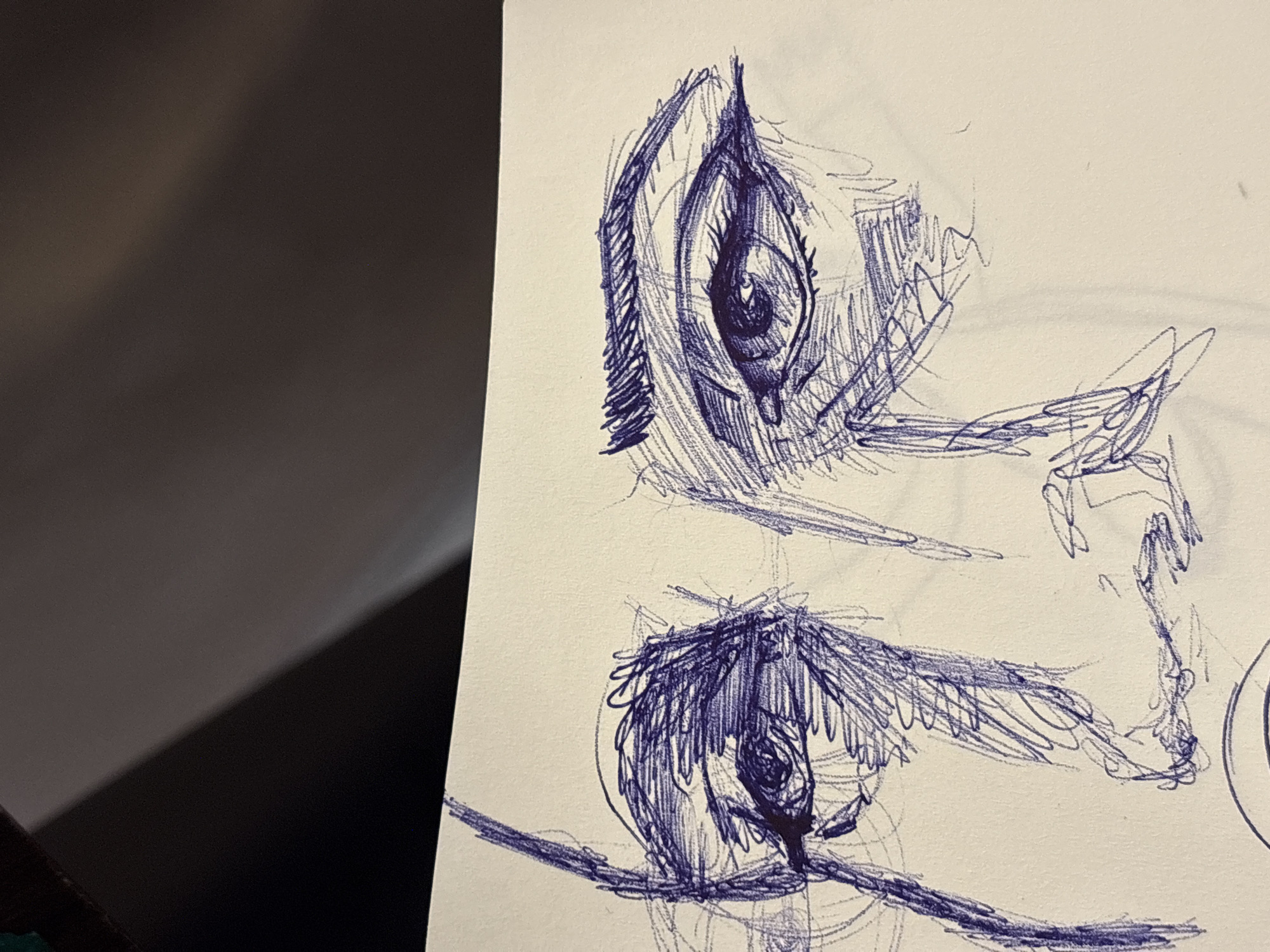 The image shows a close-up of a sketch on white paper, featuring two renderings of what appear to be stylized eyes, rendered in blue ink with a crosshatching technique. A hand is vaguely sketched near the upper eye. There is no information to suggest this image has any relation to Sofia, Bulgaria.