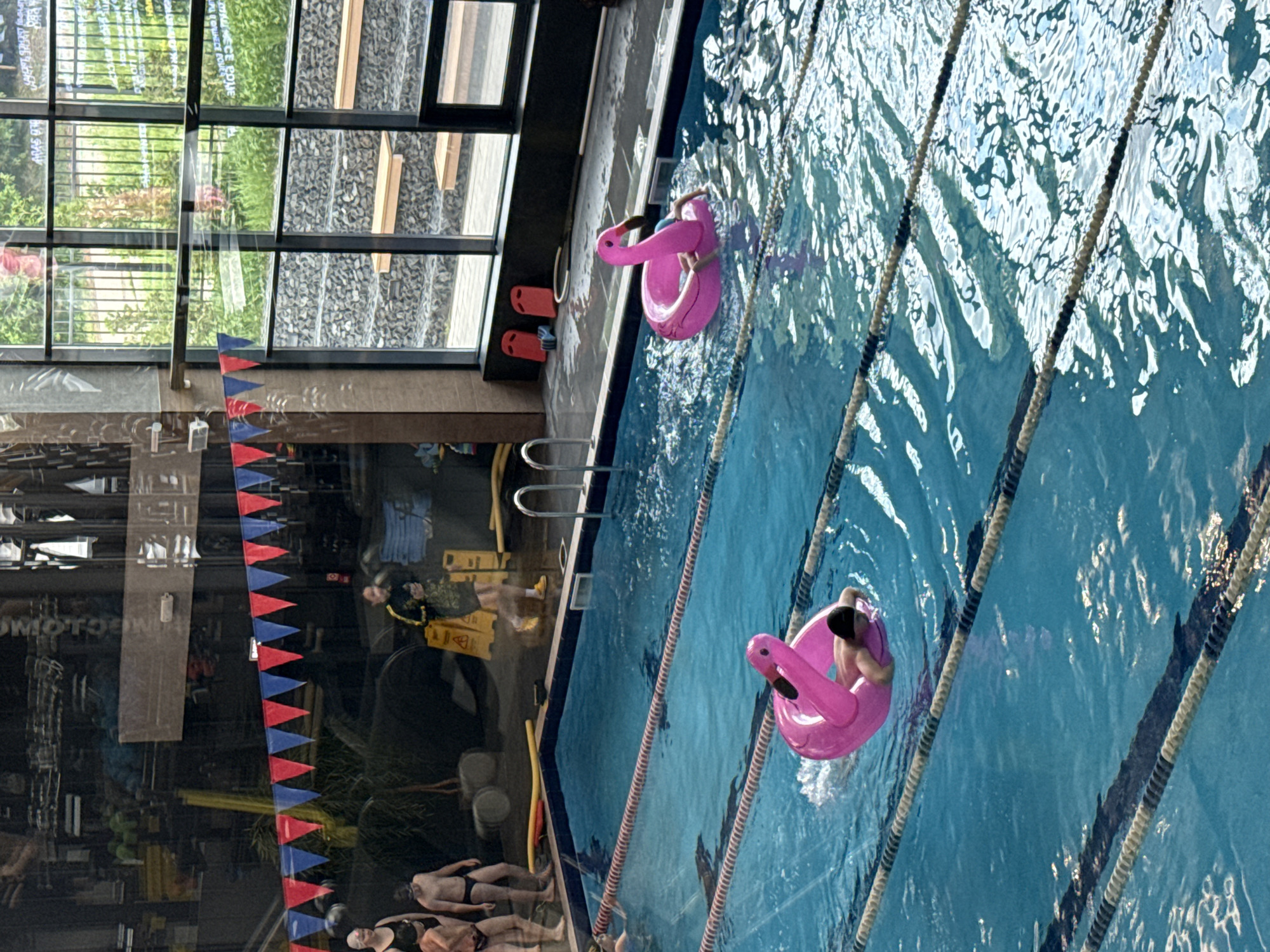 This medium-shot photograph captures a brightly lit indoor swimming pool facility in Votkinsk, Russia. The scene is dominated by a large, blue swimming pool with visible lane lines stretching across the water.
Two individuals are present in the pool, each floating on a large, distinctive pink flamingo inflatable. Their upper torsos are visible above the water, suggesting they are either seated within or holding onto the floats while enjoying the pool. The water shows ripples and reflections, indicating movement and the play of light. Along the pool's edge, red kickboards are visible on the deck.
The facility features extensive, tall glass windows that allow abundant natural light to enter. Through these windows, outdoor elements are visible, including green foliage and a textured ground surface, possibly gravel or stones, along with some wooden architectural details. These large glass surfaces also produce significant reflections of the interior. Mirrored in the glass, several other people in swimwear can be seen, some appearing to be resting on the pool deck. A person in a yellow vest, possibly a staff member, is also reflected near a yellow "Wet Floor" sign.
A string of red and blue triangular bunting is visible in the reflections, adding a decorative touch to the interior space. The bright natural lighting suggests the time of day is daytime. The overall impression is a modern and inviting leisure environment, with a relaxed atmosphere as people enjoy the swimming amenities.