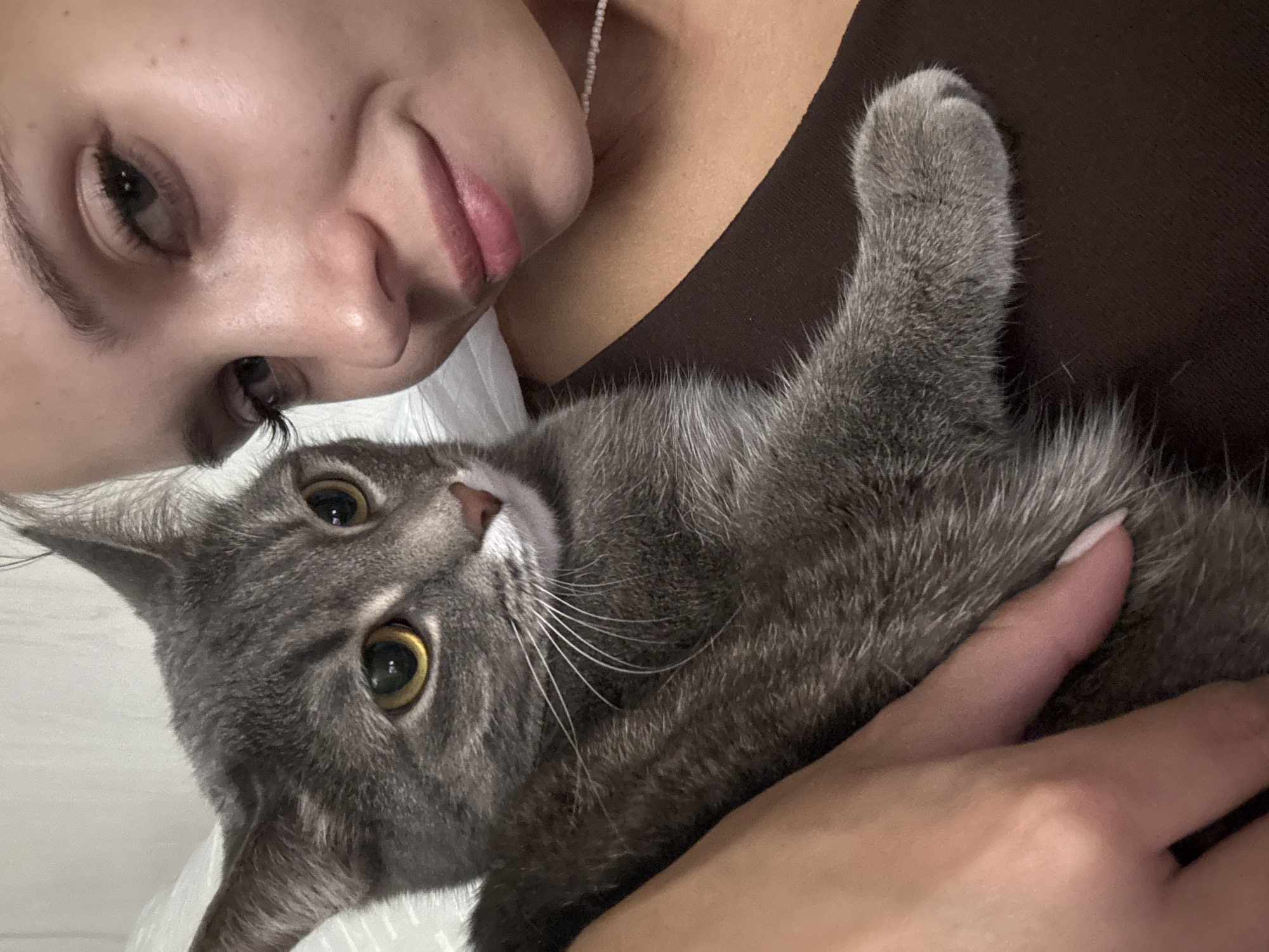 A woman holds a gray cat close to her face, both looking into the camera. The woman is wearing a brown top and a necklace. The cat's paw is raised, and a hand is visible holding the cat. The background appears to be a white surface. There is no contextual information to identify the location as Chaikovsky, Russia.