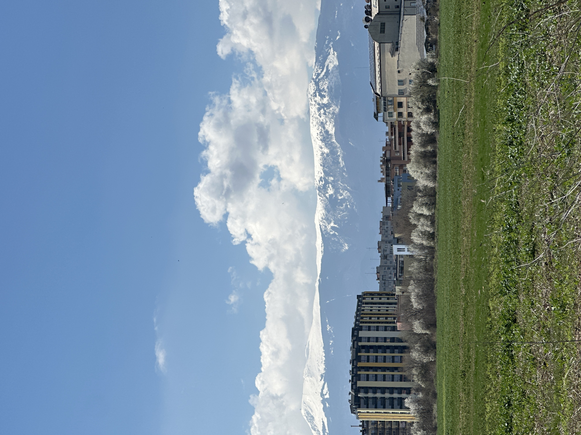 The image depicts a landscape scene in Sofia, Bulgaria, juxtaposing urban elements with natural features. In the foreground is a grassy field, transitioning into residential and commercial buildings of varying heights and architectural styles. A row of blossoming trees, likely in spring, lines the edge of the field and the urban development.
In the background, a prominent, snow-capped mountain range is visible, partially obscured by clouds. A clear blue sky occupies a significant portion of the upper left frame. The overall impression is a blend of urban sprawl and natural beauty, characteristic of Sofia.