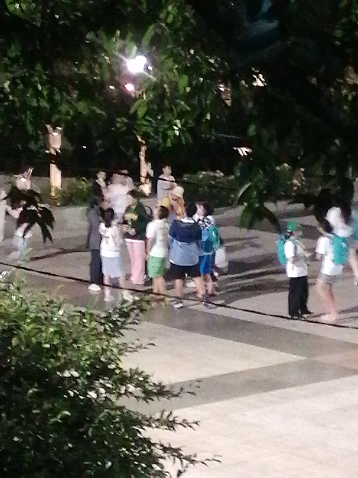 The image depicts a nighttime outdoor scene with several individuals gathered on a paved area, likely a walkway or plaza, surrounded by trees. The lighting appears to be from overhead sources, casting shadows and illuminating the scene. In the foreground, a large bushy plant is visible on the left. The people are varied in age and are dressed in casual attire. Some are standing, while others appear to be in conversation or movement. Among them, several children are noticeable, some wearing backpacks. The background shows more foliage and possibly some structures or lampposts, though these are less distinct due to the low light conditions. The overall atmosphere suggests a public gathering or event in a park-like setting at dusk or nighttime. Based on the context provided, this scene is located in Da Lat, Vietnam.