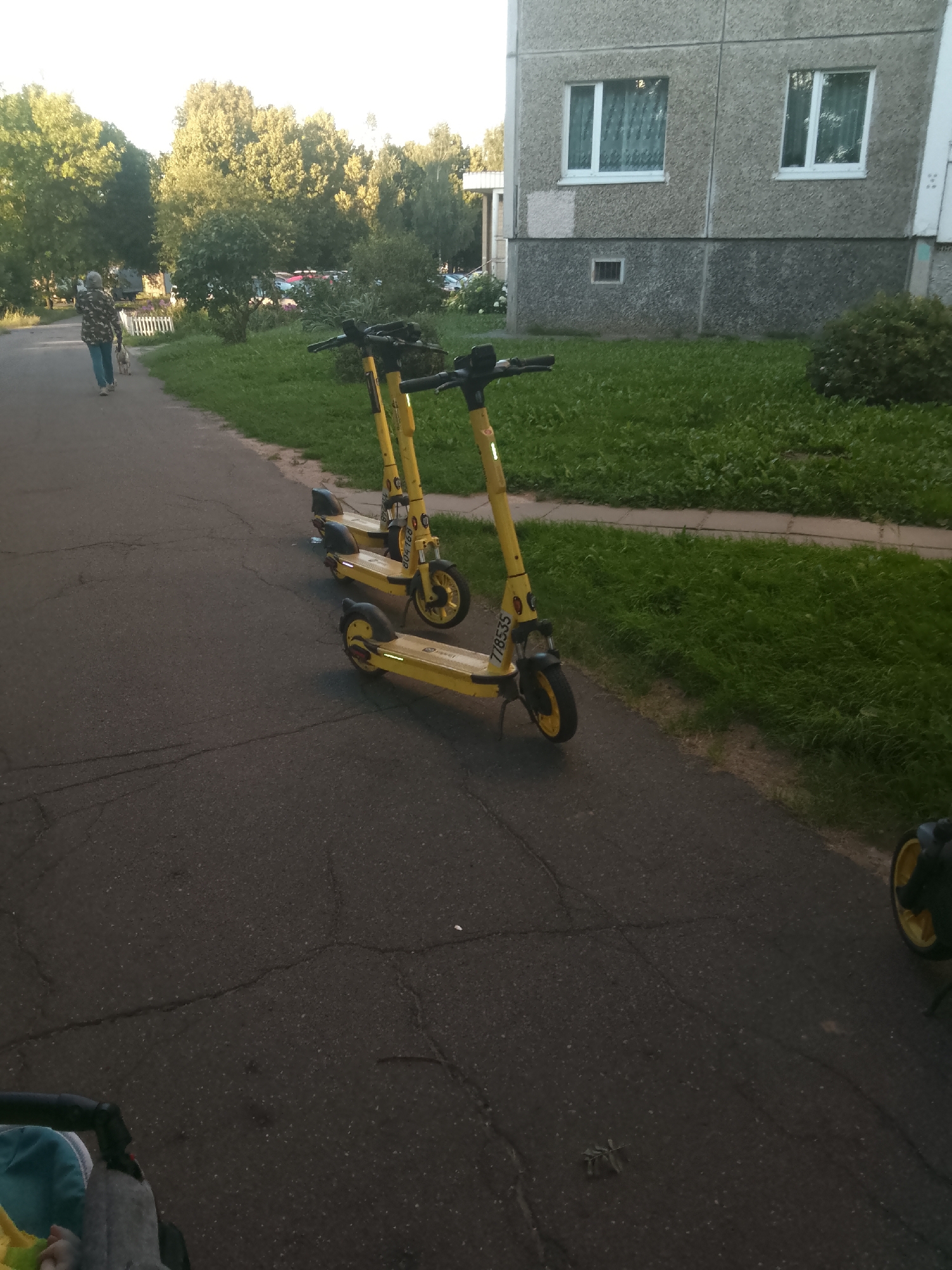 A woman walks a small dog on a leash along a paved path in front of a concrete apartment building. Three yellow electric scooters are parked on the path, aligned one after another. The building has windows with curtains, and a patch of grass and trees is visible behind the scooters. In the lower right corner, a portion of a stroller is visible. The scene appears to be in a residential area.
