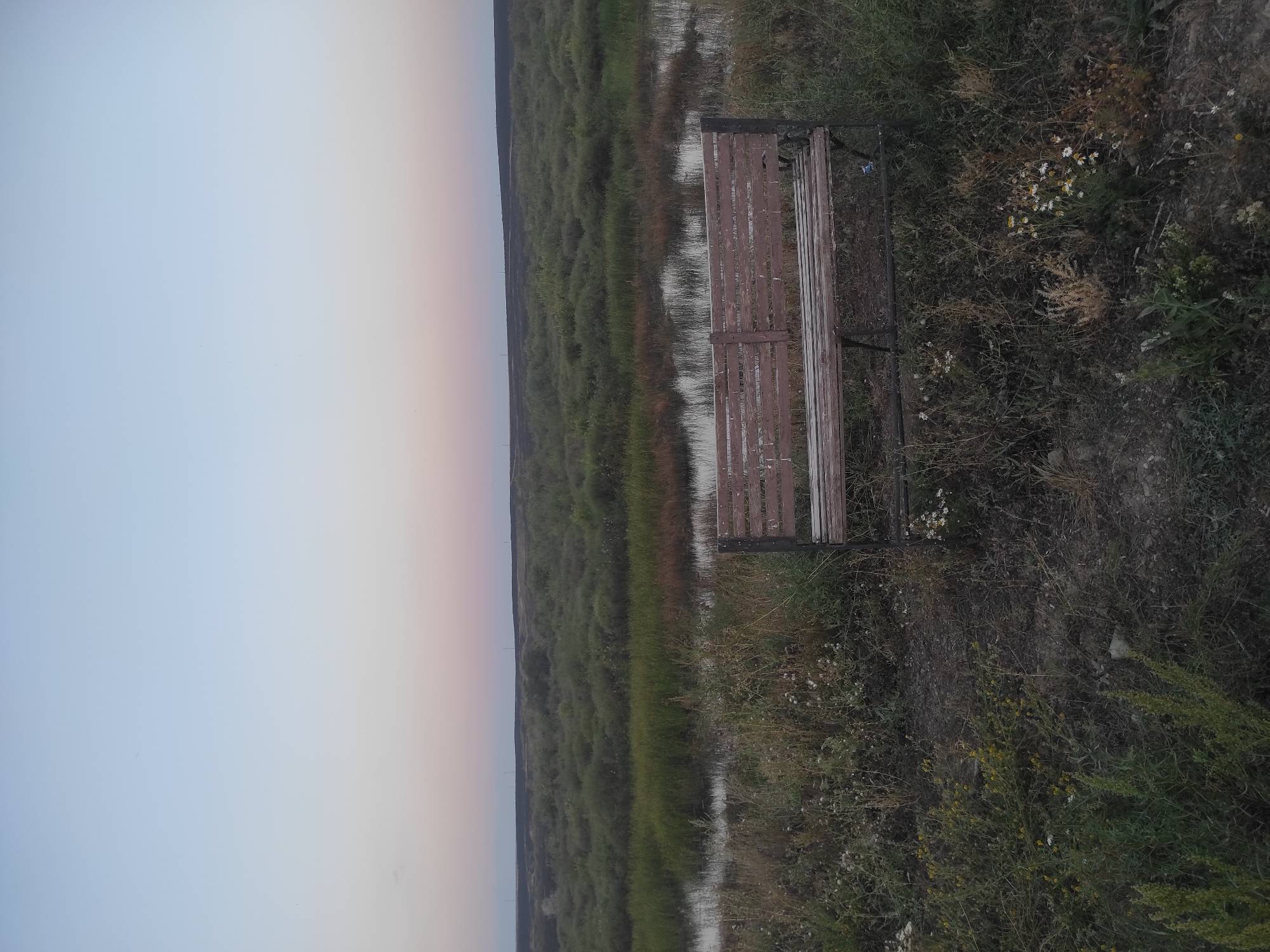 The image shows an outdoor scene with a wooden bench in the foreground. The bench is weathered and appears to be made of slats. Behind the bench is a body of water with reeds and other vegetation growing around it. The background consists of a wide, flat landscape with low-lying bushes and a distant horizon. The sky is a gradient of light blue and pink, suggesting it is either sunrise or sunset. The overall impression is one of a peaceful, natural setting. The location is Unknown, Unknown.