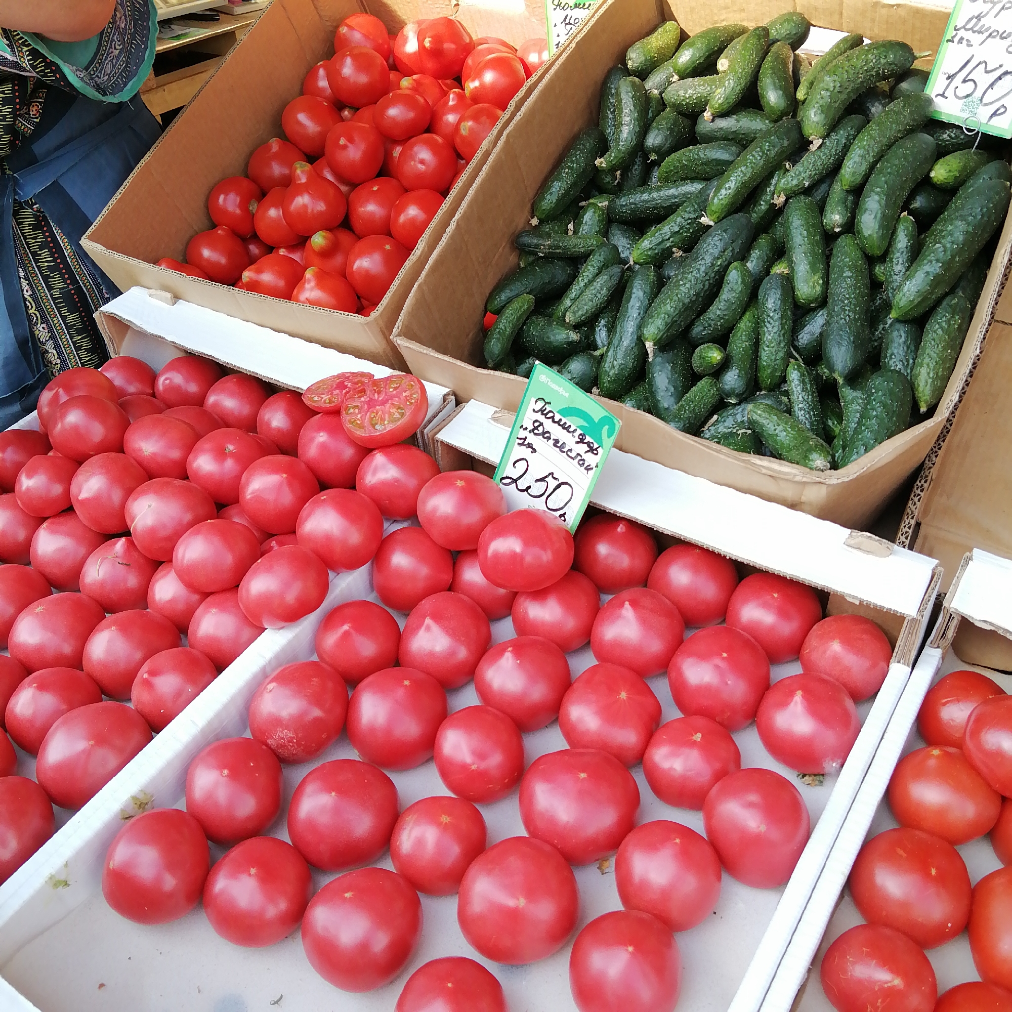 The image depicts a market stall overflowing with fresh produce. In the foreground, a large quantity of ripe red tomatoes are arranged in white cardboard boxes. Behind these tomatoes, a cardboard box is filled with numerous green cucumbers. A small green sign with Cyrillic text and the number "250" is partially visible among the produce. The scene suggests a bustling outdoor market environment, likely for selling fresh fruits and vegetables. The tomatoes are of varying sizes, with some appearing slightly larger and rounder, while others are more elongated. The cucumbers are uniformly green and appear to be of a similar variety. The lighting suggests it is daytime, and the overall impression is one of abundance and freshness.
