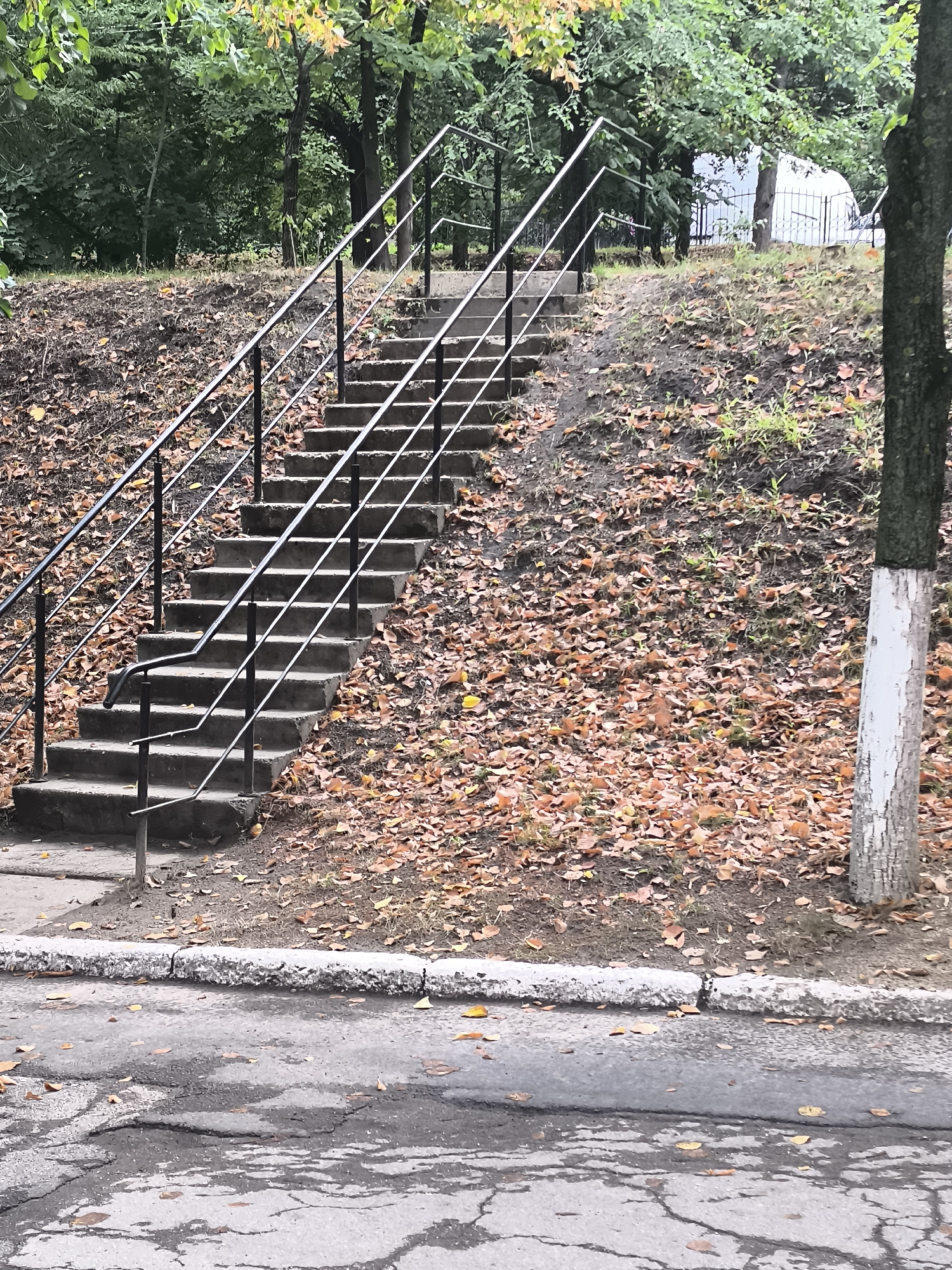 A concrete staircase with metal railings ascends a grassy slope covered in fallen orange leaves. The staircase is positioned adjacent to a tree with its lower trunk painted white. In the foreground, a cracked asphalt surface with a concrete curb separates the road from the grassy area. The background features more trees and some indistinct structures. The overall impression is of an outdoor urban environment during autumn.