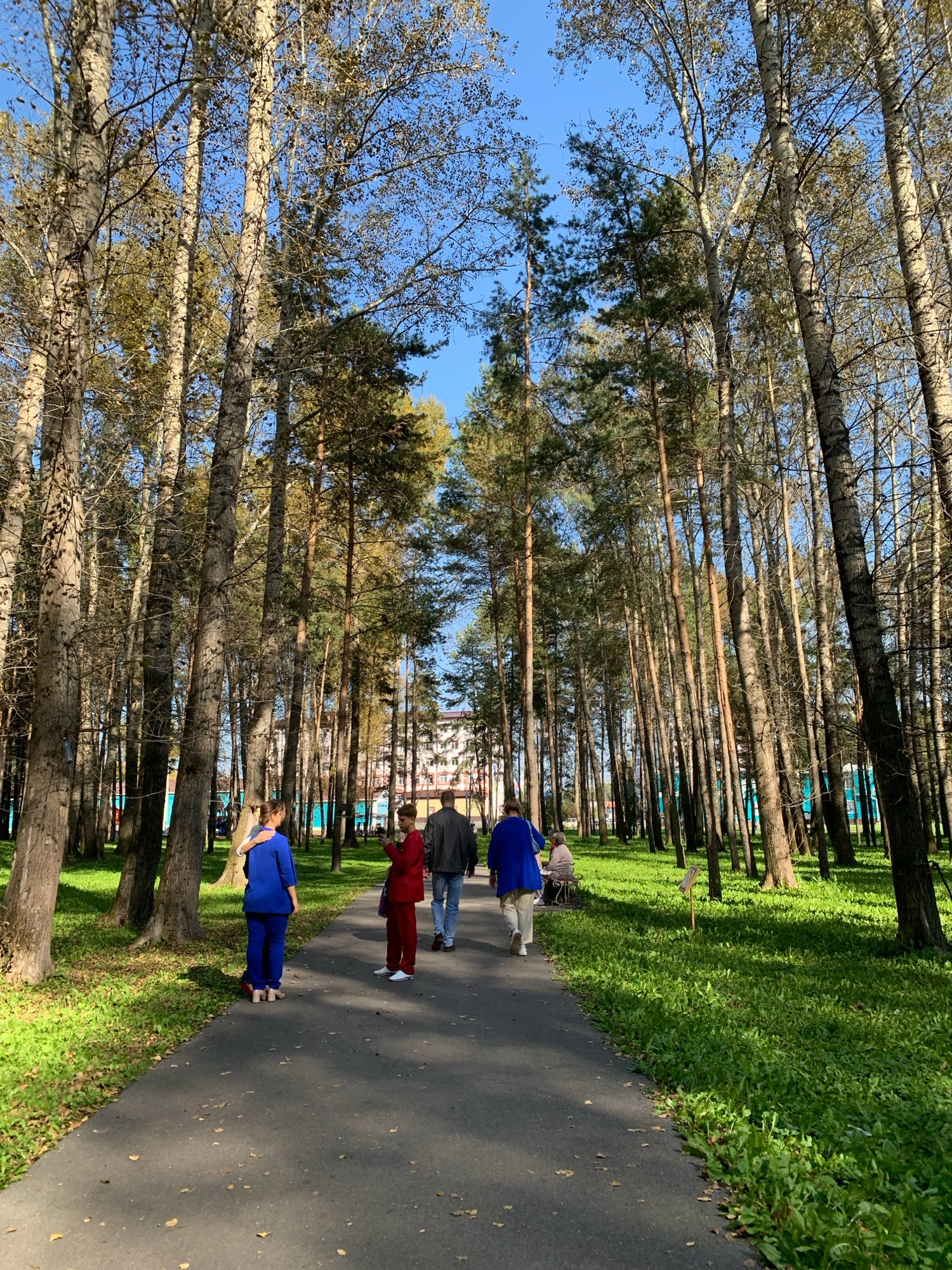 The image shows a paved park pathway lined with tall, slender trees. The trees have thin trunks and sparse foliage, suggesting an autumn setting. The pathway is bordered by a lush green lawn. Several individuals are visible on the pathway and the grass. On the pathway, moving away from the camera, are three people: a woman in a blue jacket and pants, a person in a red jacket and pants, and another person in a blue jacket. Further ahead, a person is sitting on a bench. In the background, a building with multiple floors and light-colored walls is partially visible between the trees. The sky is clear and blue. The scene depicts a public park in Prokopyevsk, Russia.